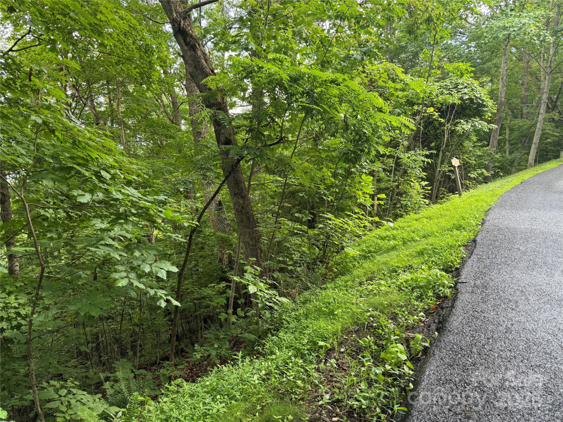 Lot 3 Heritage Ridge Loop #3/4 - Photo 3