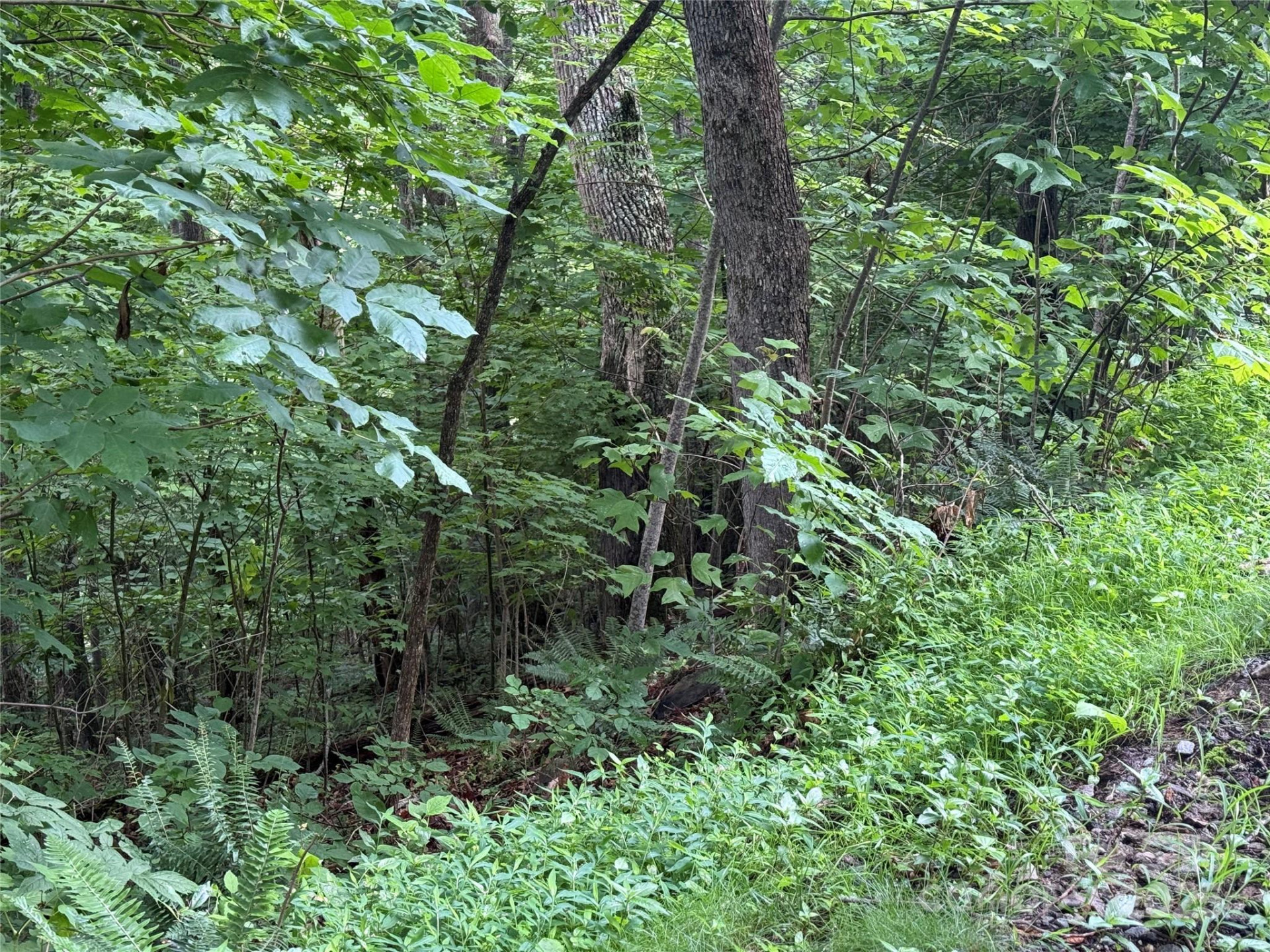 Lot 3 Heritage Ridge Loop #3/4 - Photo 4