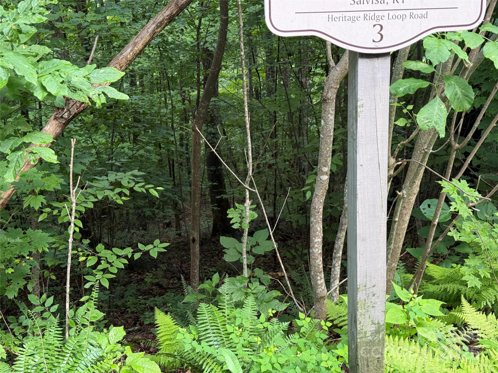 Lot 3 Heritage Ridge Loop #3/4 - Photo 5