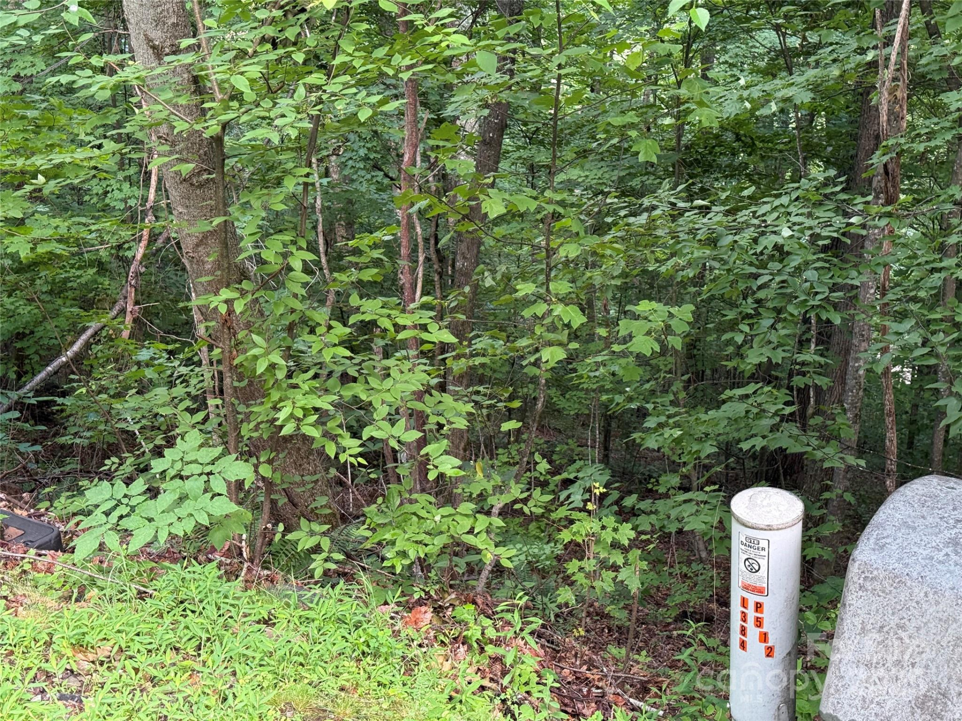 Lot 3 Heritage Ridge Loop #3/4 - Photo 6