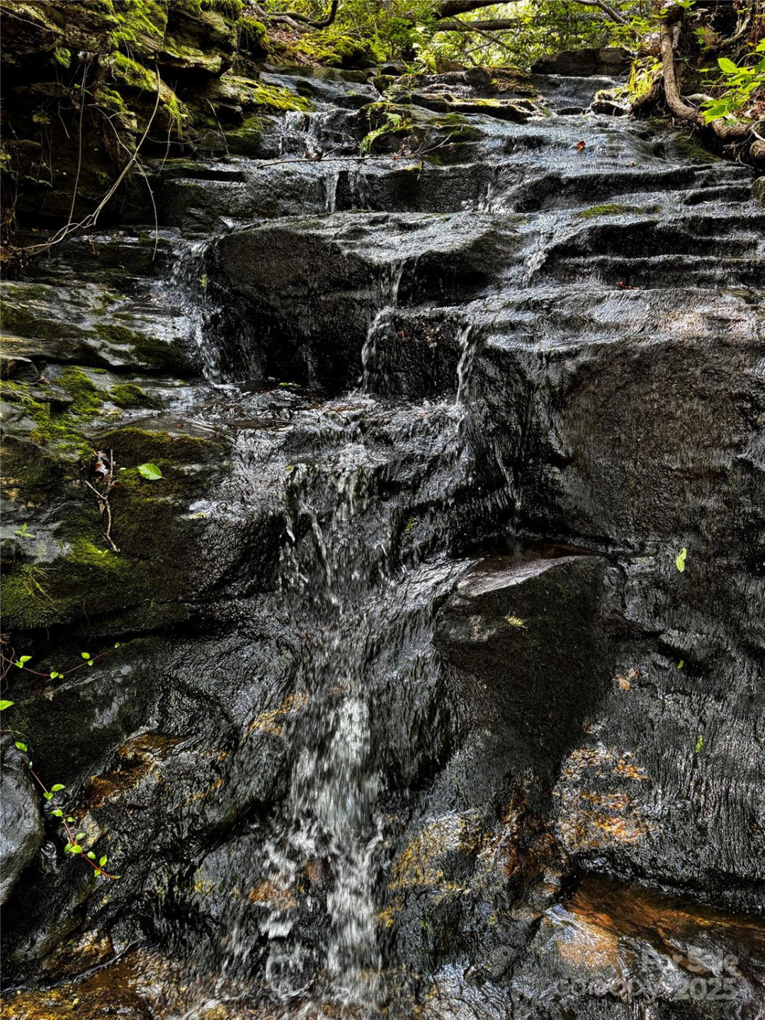 650 Golf Course Road - Photo 48