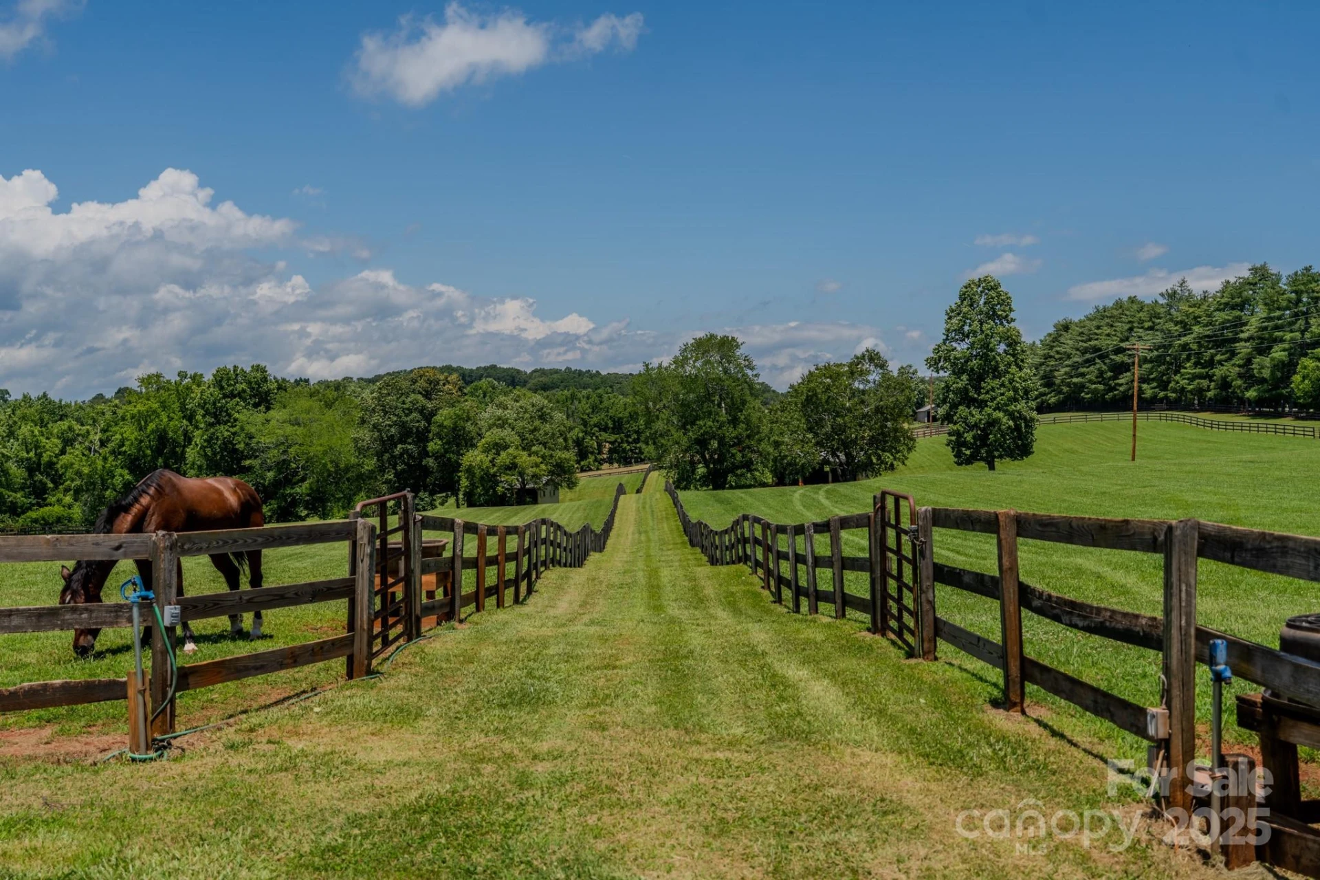650 Golf Course Road - Photo 9