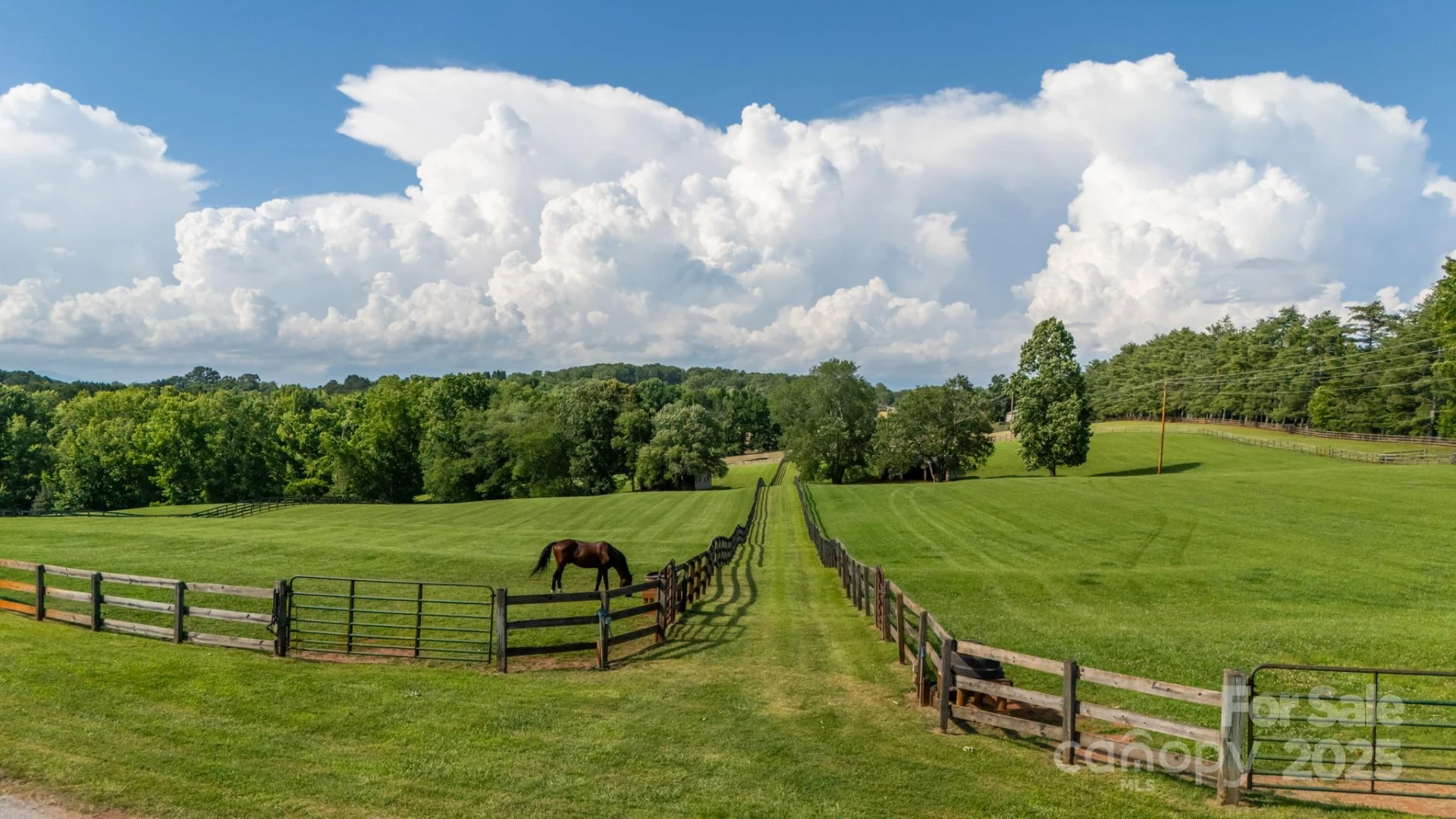 650 Golf Course Road - Photo 10