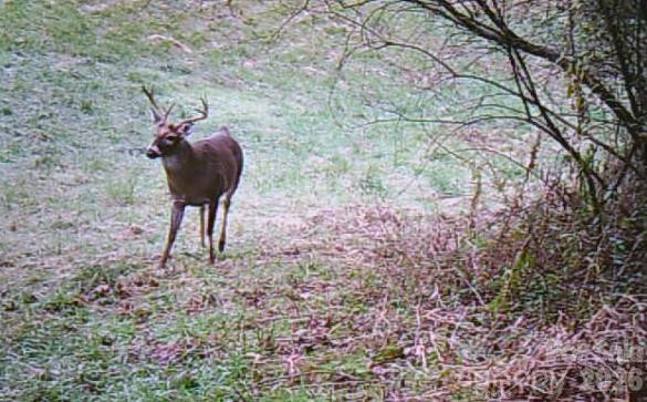 30 Morning Glory Lane - Photo 39