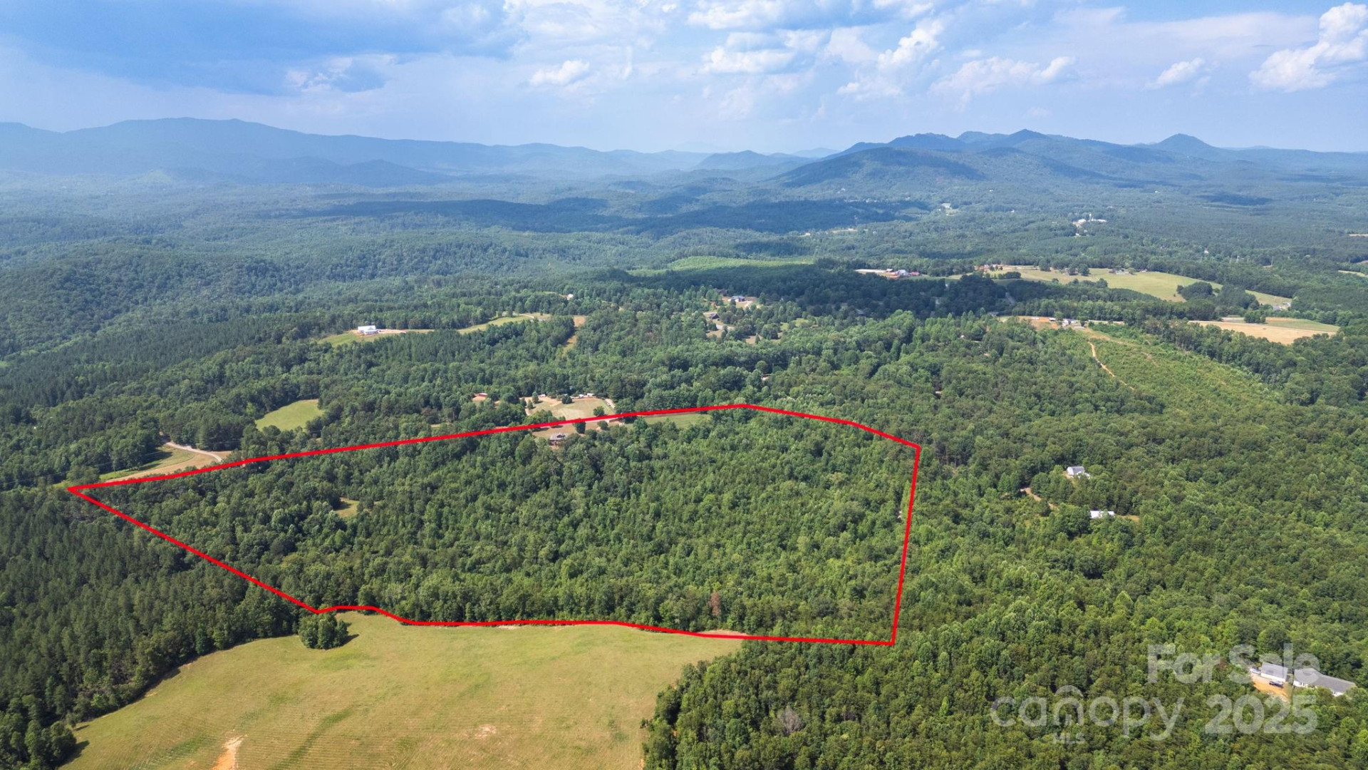 781 Freemantown Road - Photo 40