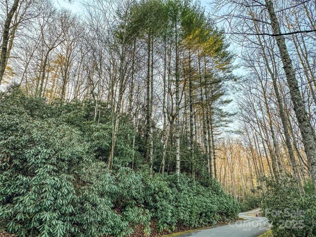 D17 Caroline Lane, Pisgah Forest, NC, 28768