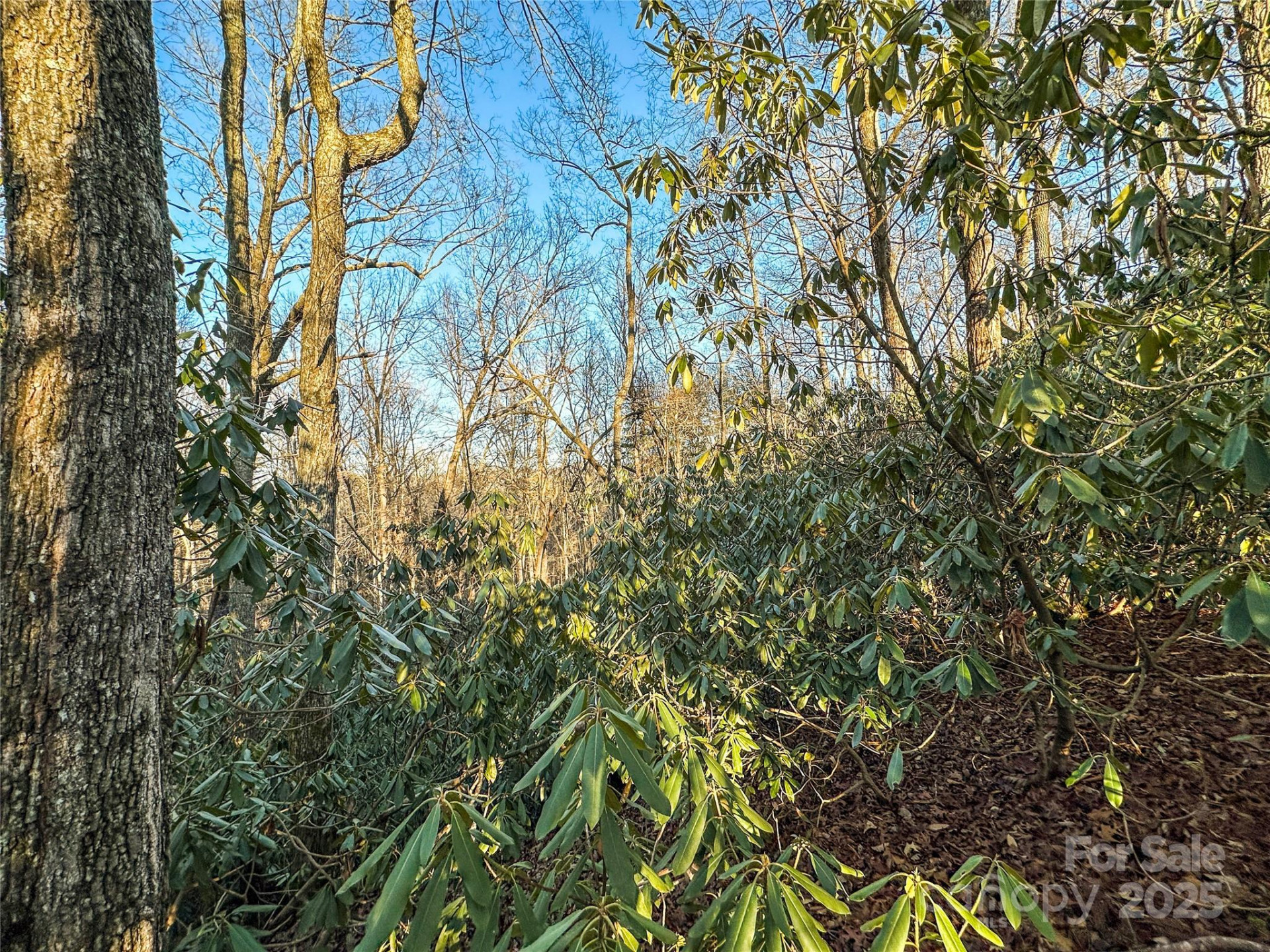 D17 Caroline Lane - Photo 13