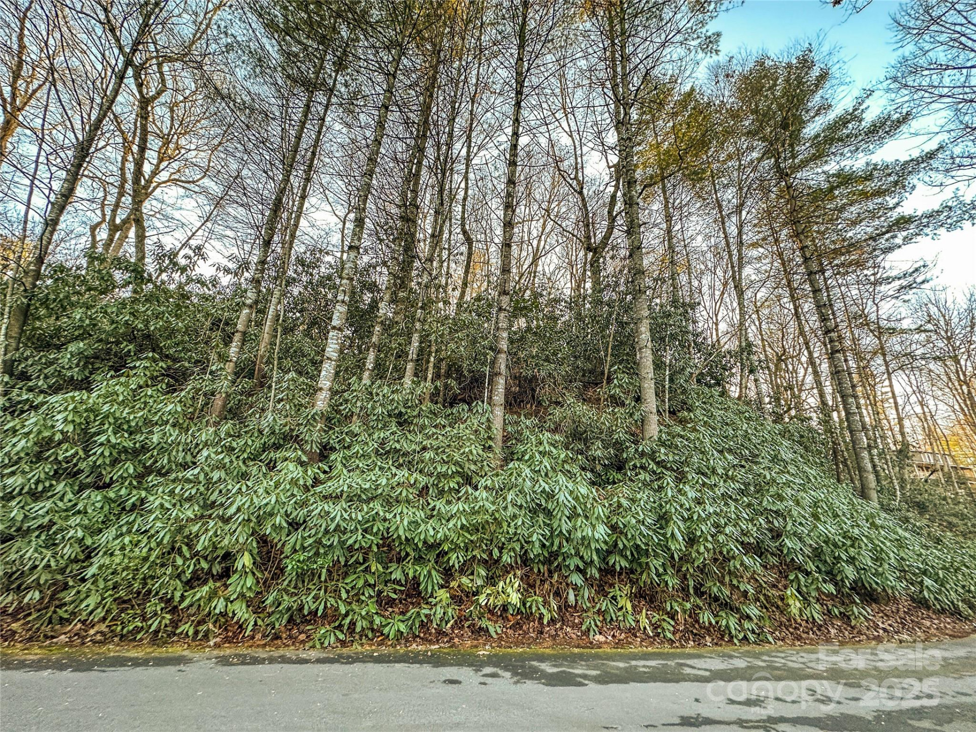 D17 Caroline Lane - Photo 4