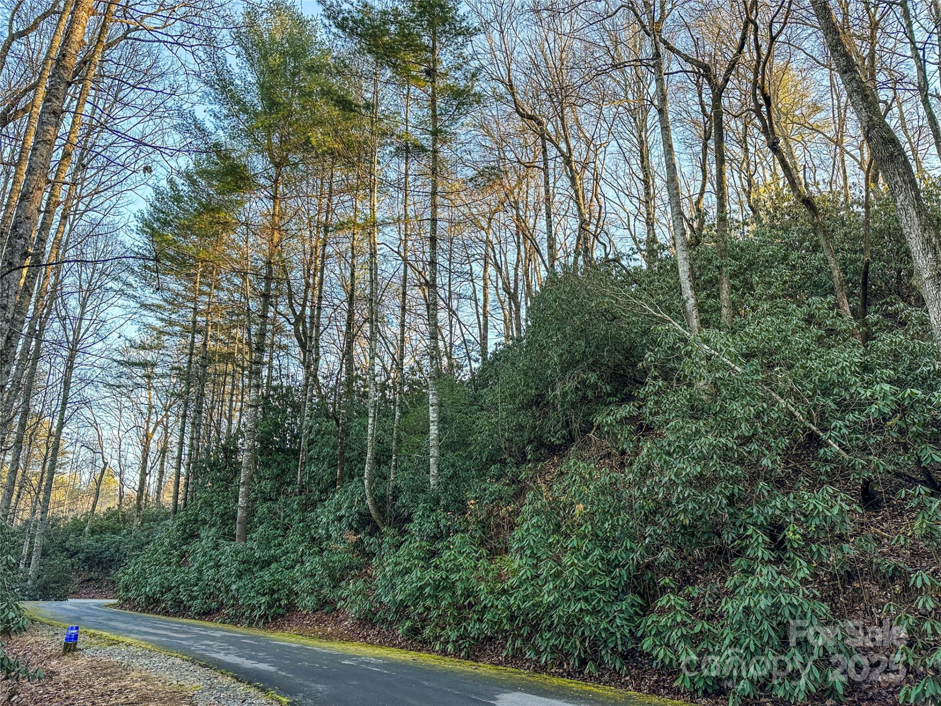 D17 Caroline Lane - Photo 5