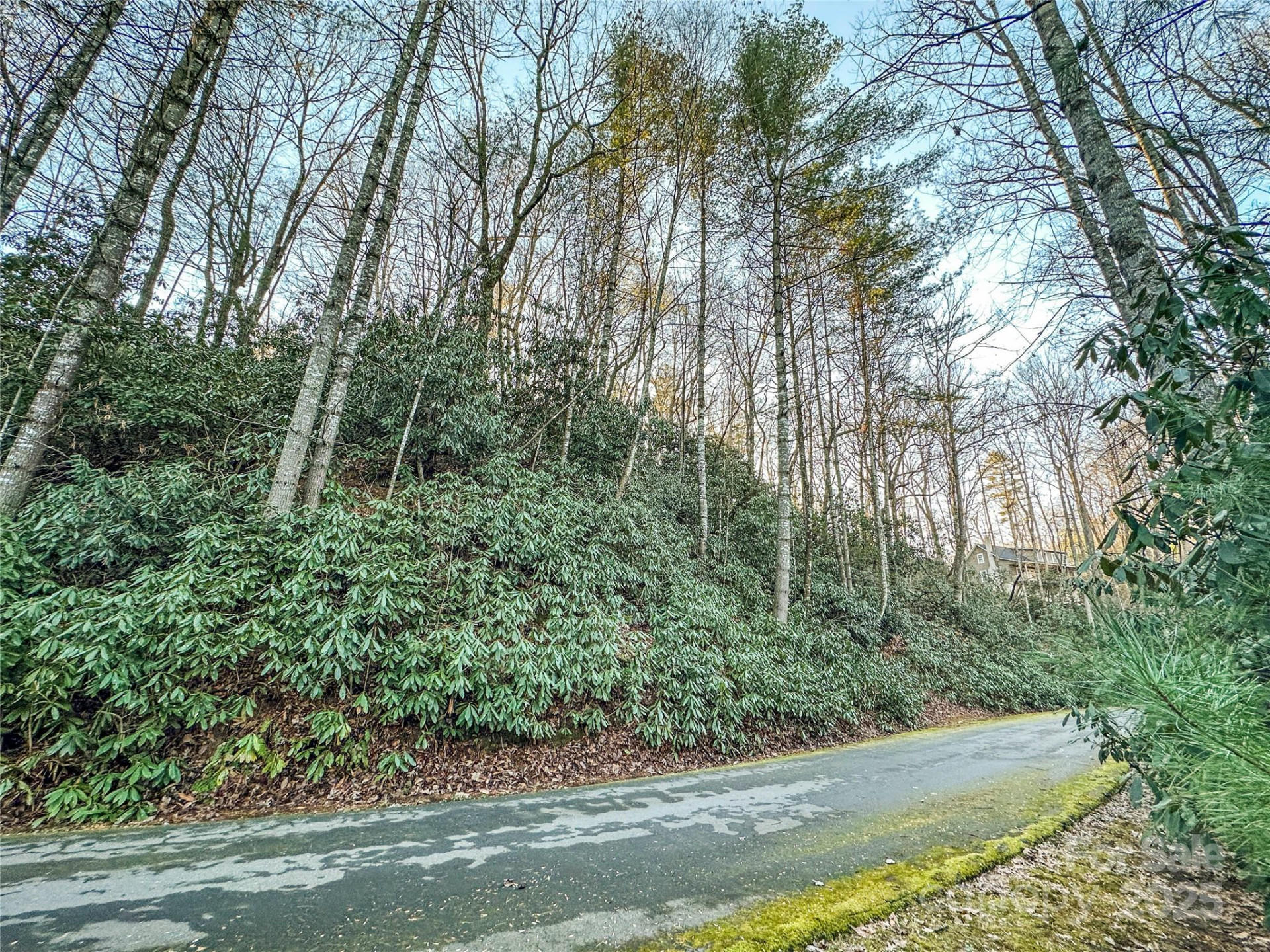 D17 Caroline Lane - Photo 6