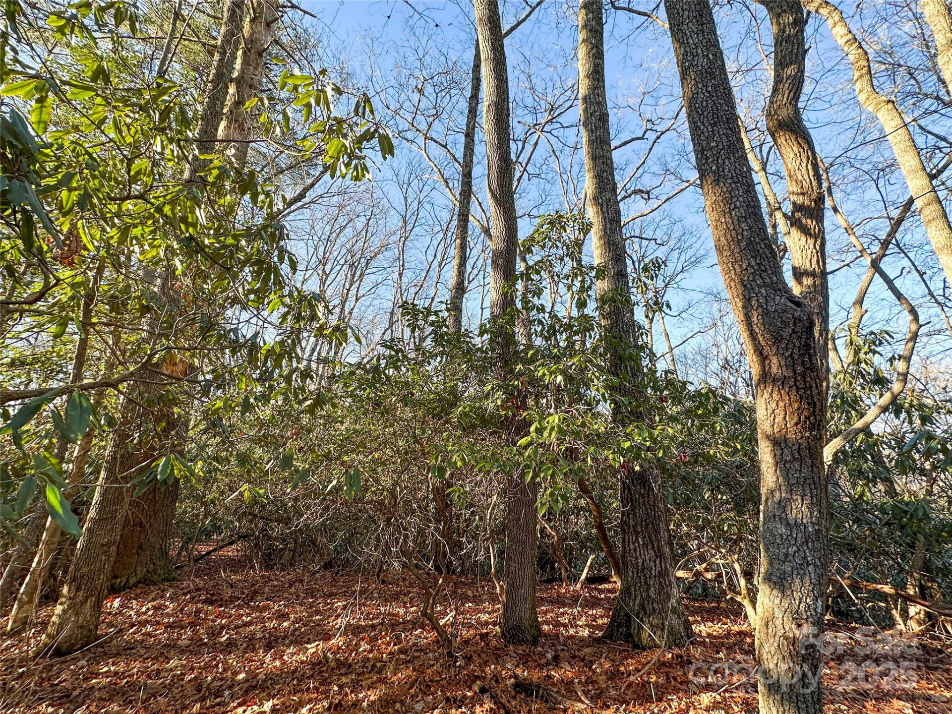 D17 Caroline Lane - Photo 7