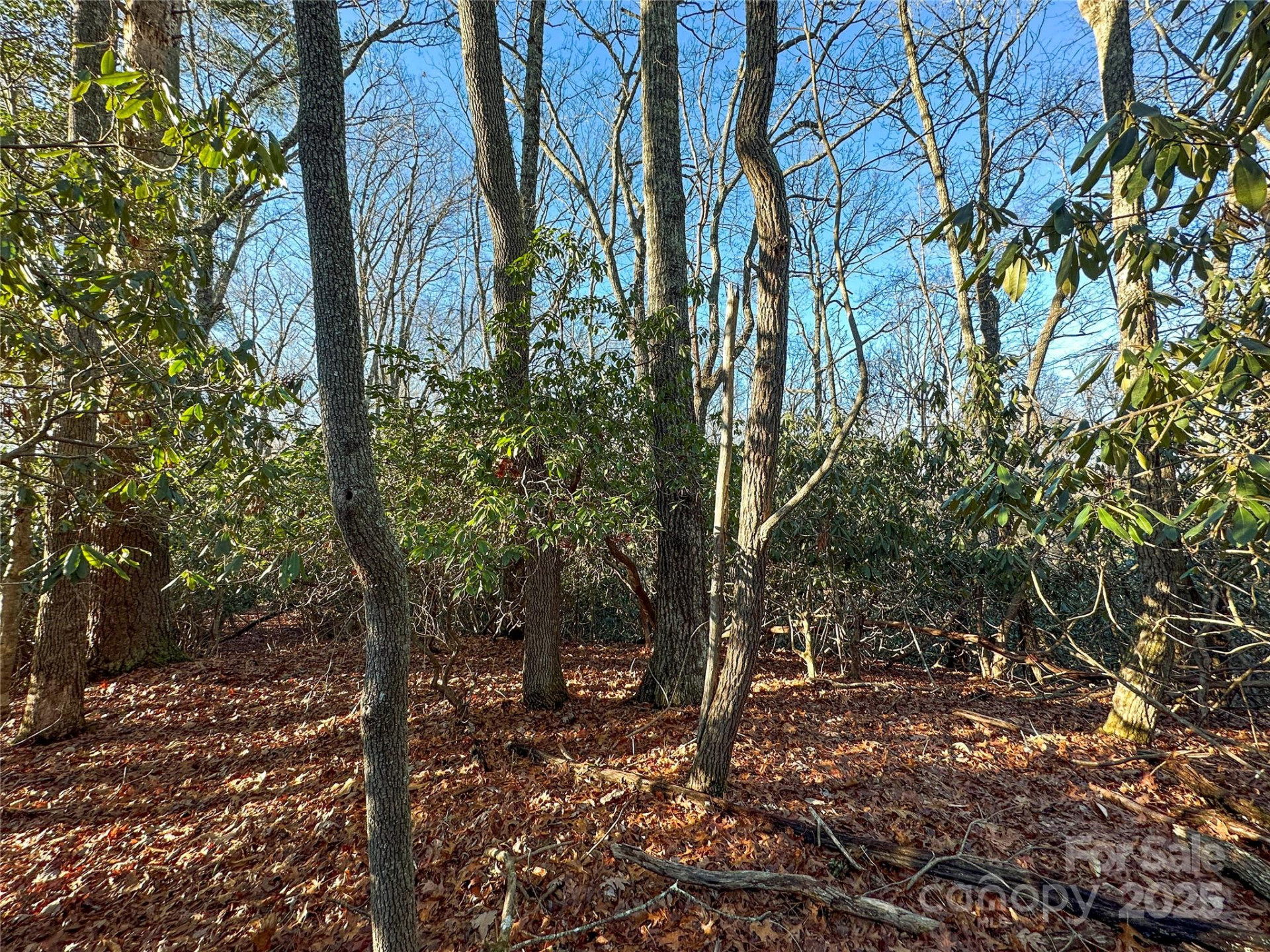 D17 Caroline Lane - Photo 8