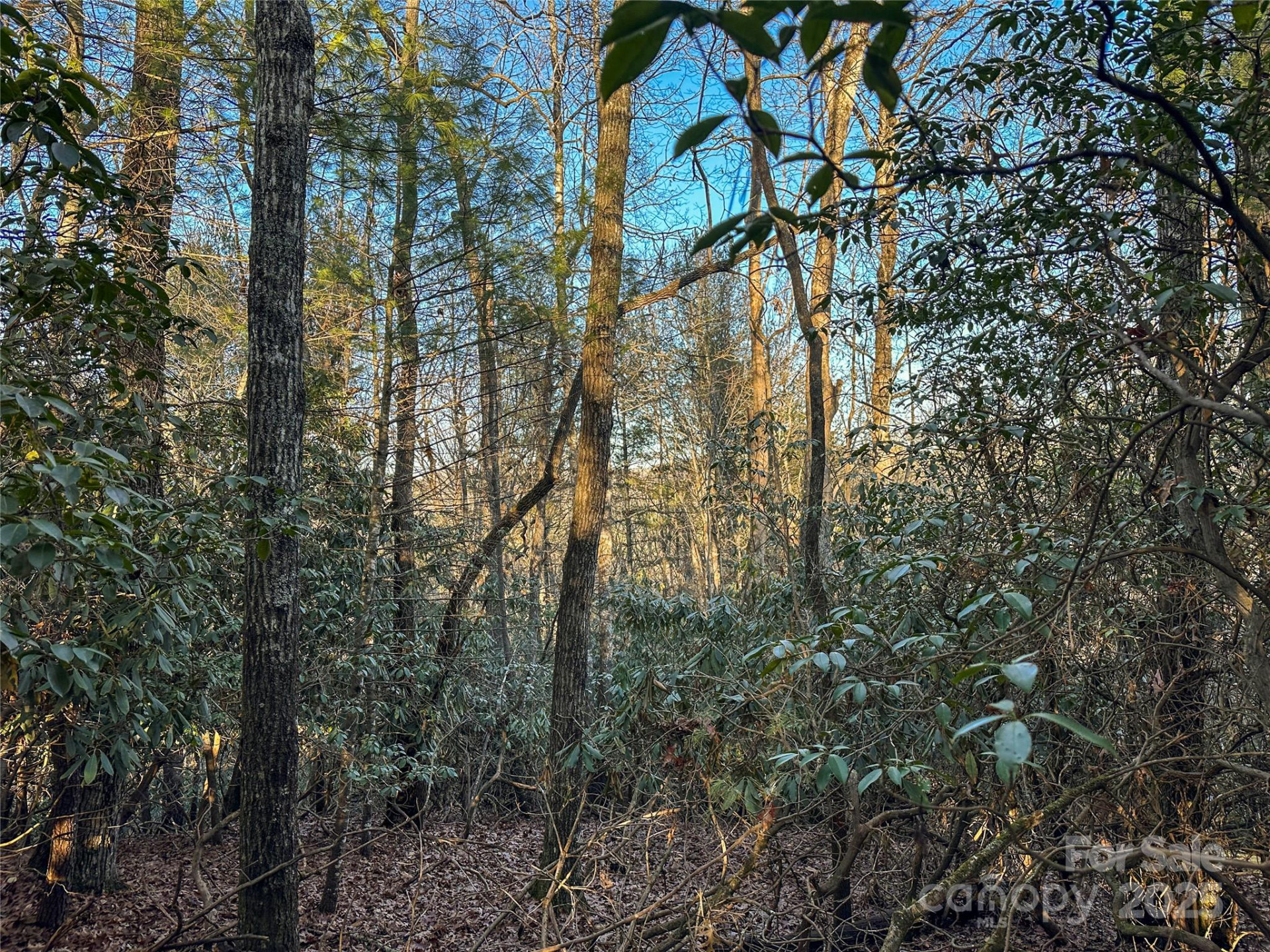 D17 Caroline Lane - Photo 9