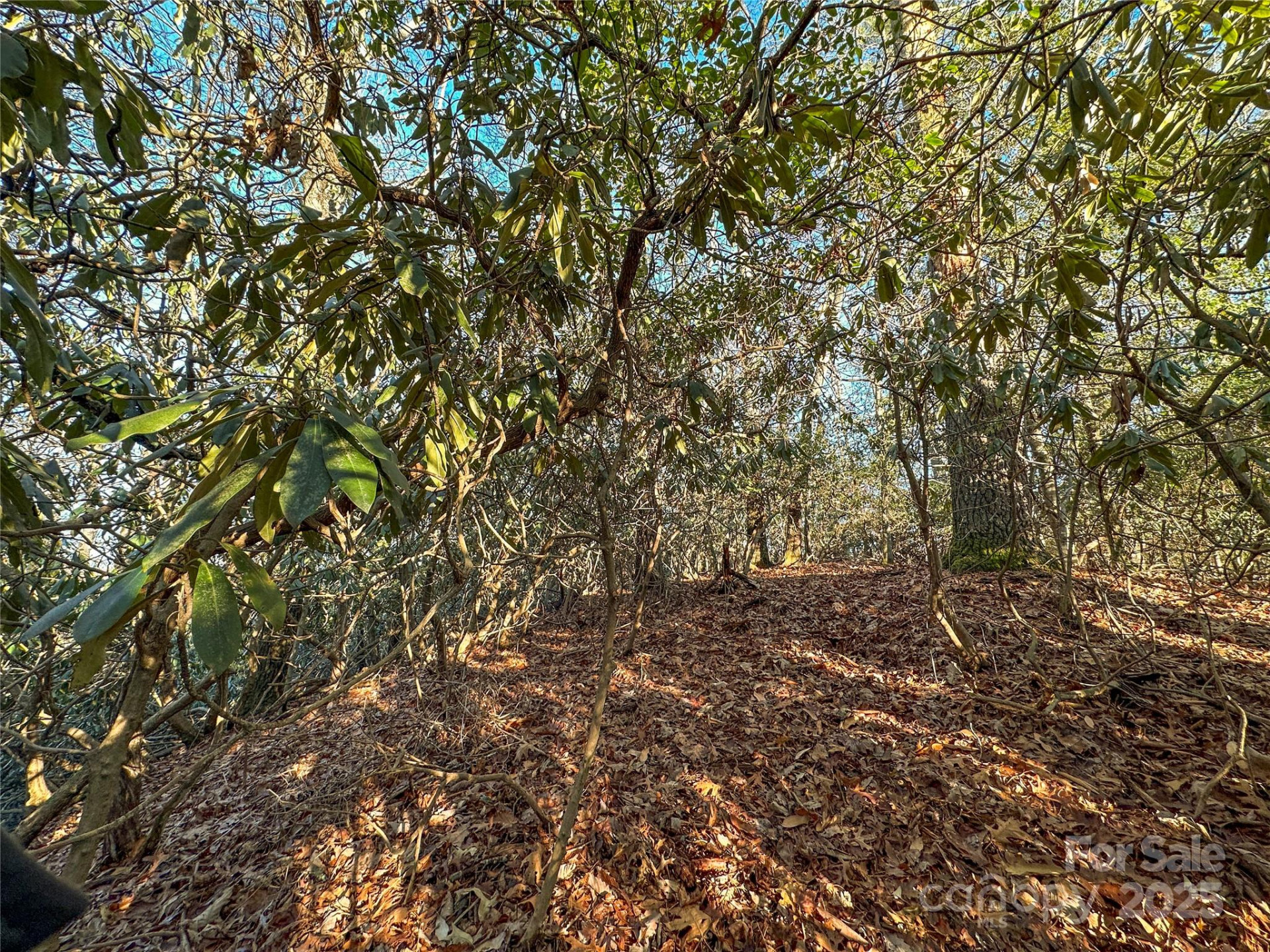 D17 Caroline Lane - Photo 10