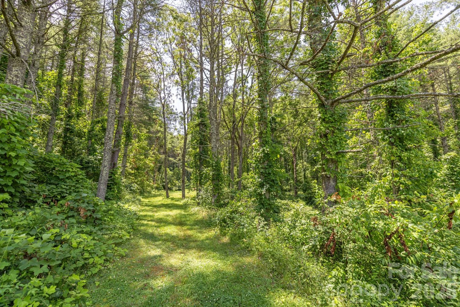 160 Mclean Road - Photo 43