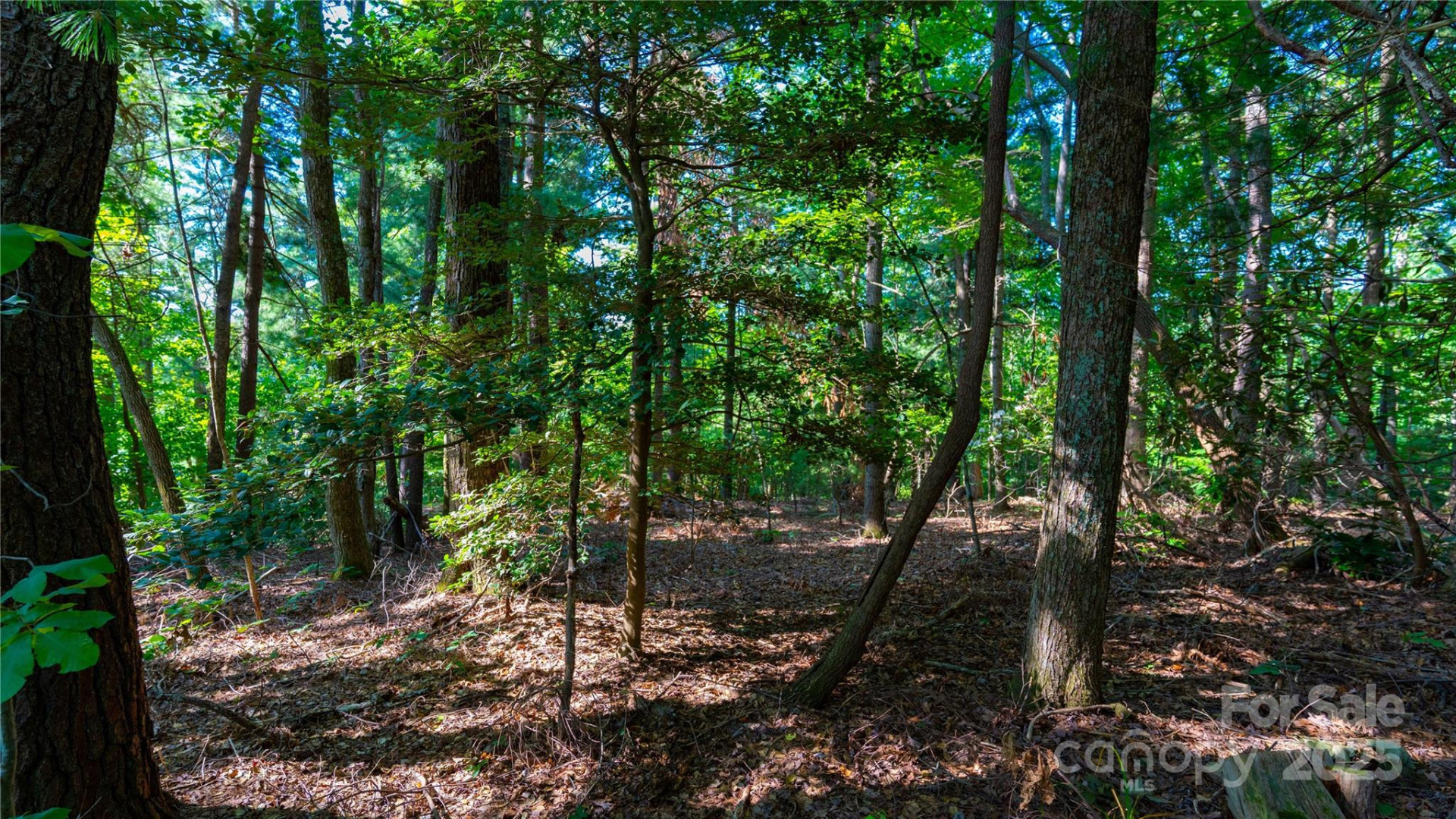 00 Glen Echo Circle - Photo 6