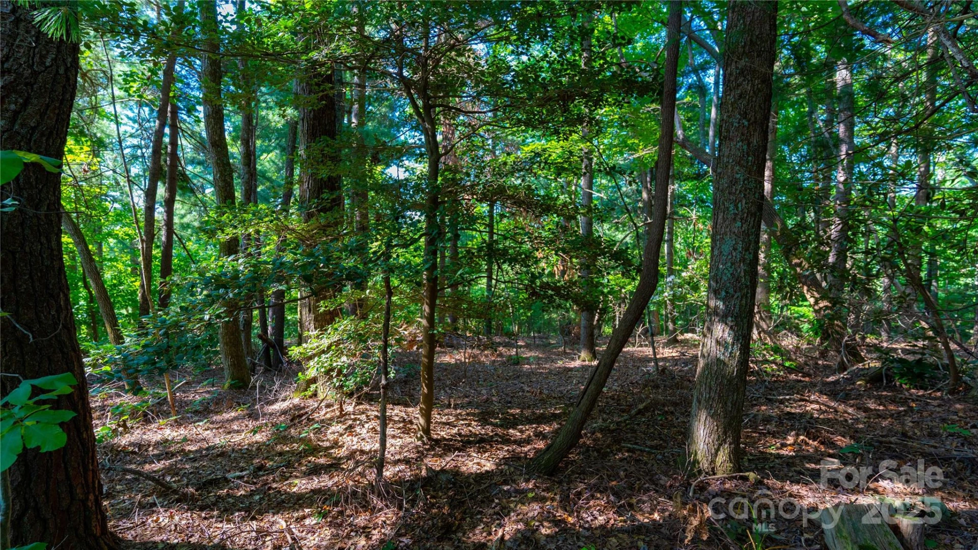 00 Glen Echo Circle - Photo 6
