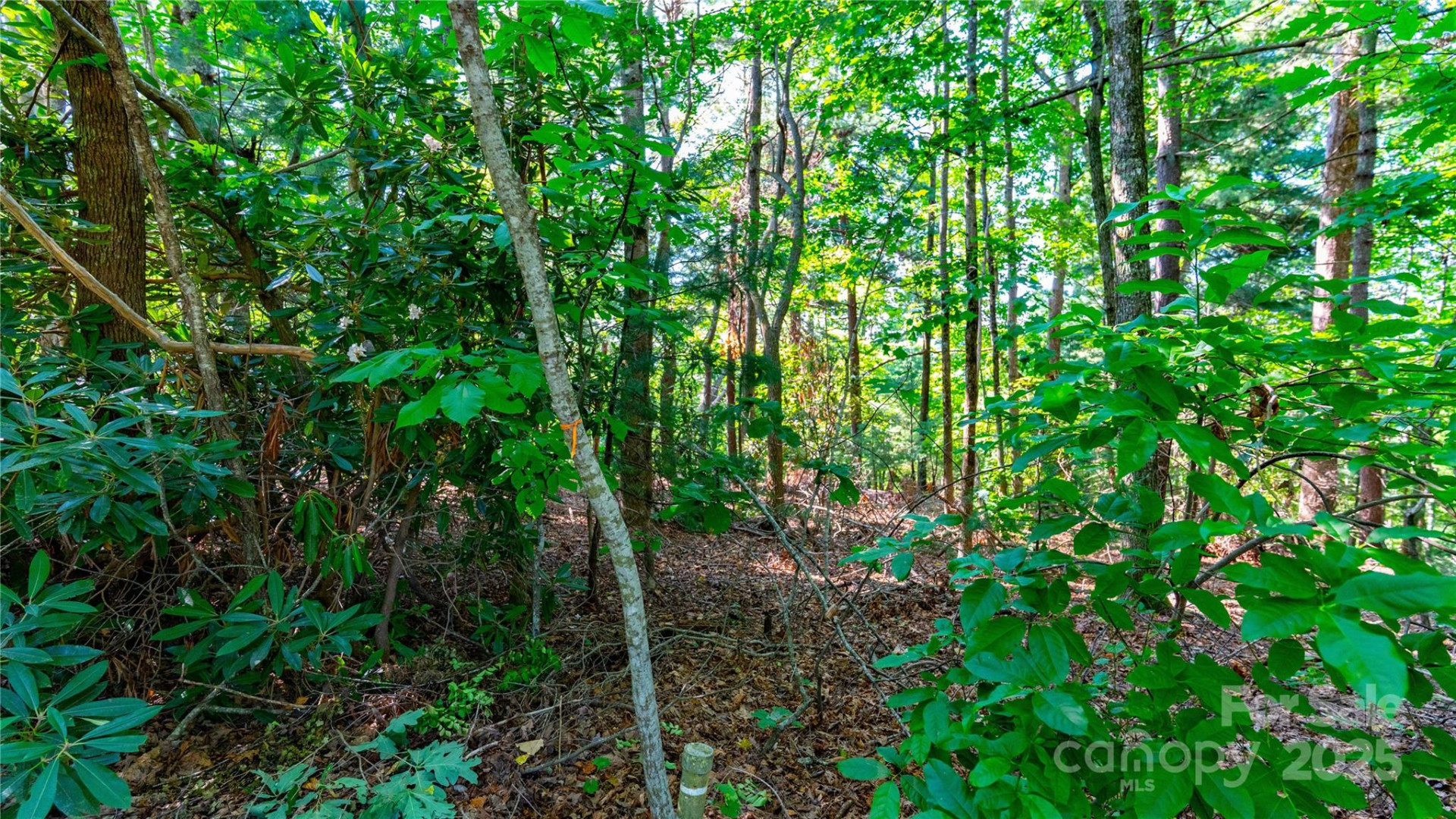 00 Glen Echo Circle - Photo 9