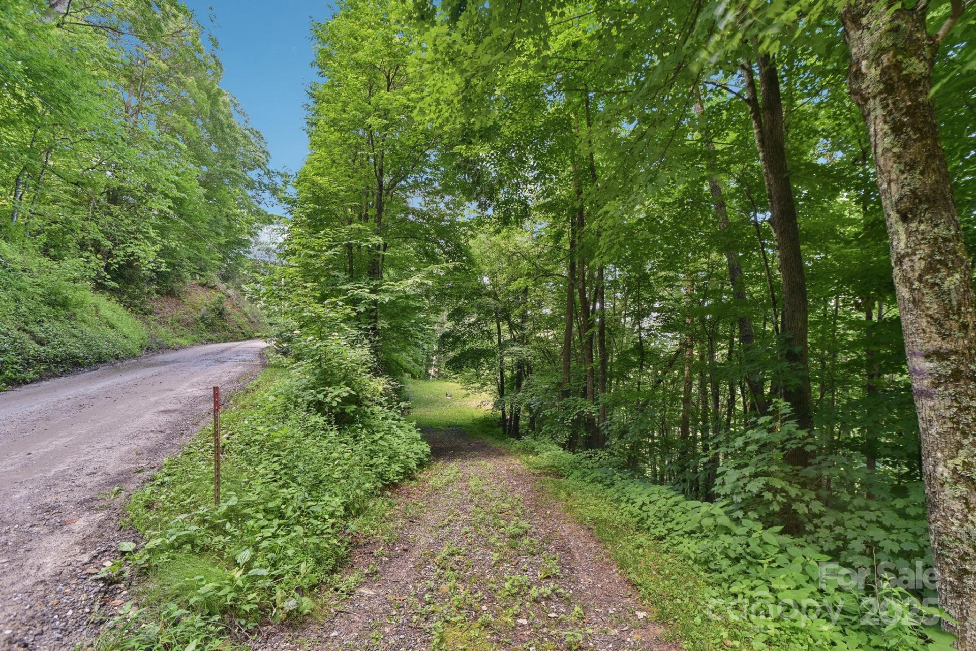 0000 Plott Balsam Road - Photo 2