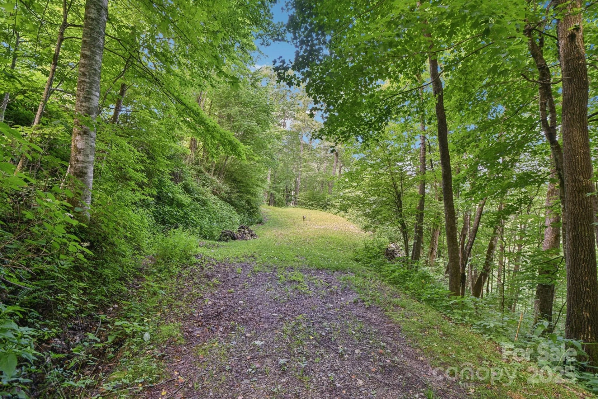 0000 Plott Balsam Road - Photo 3
