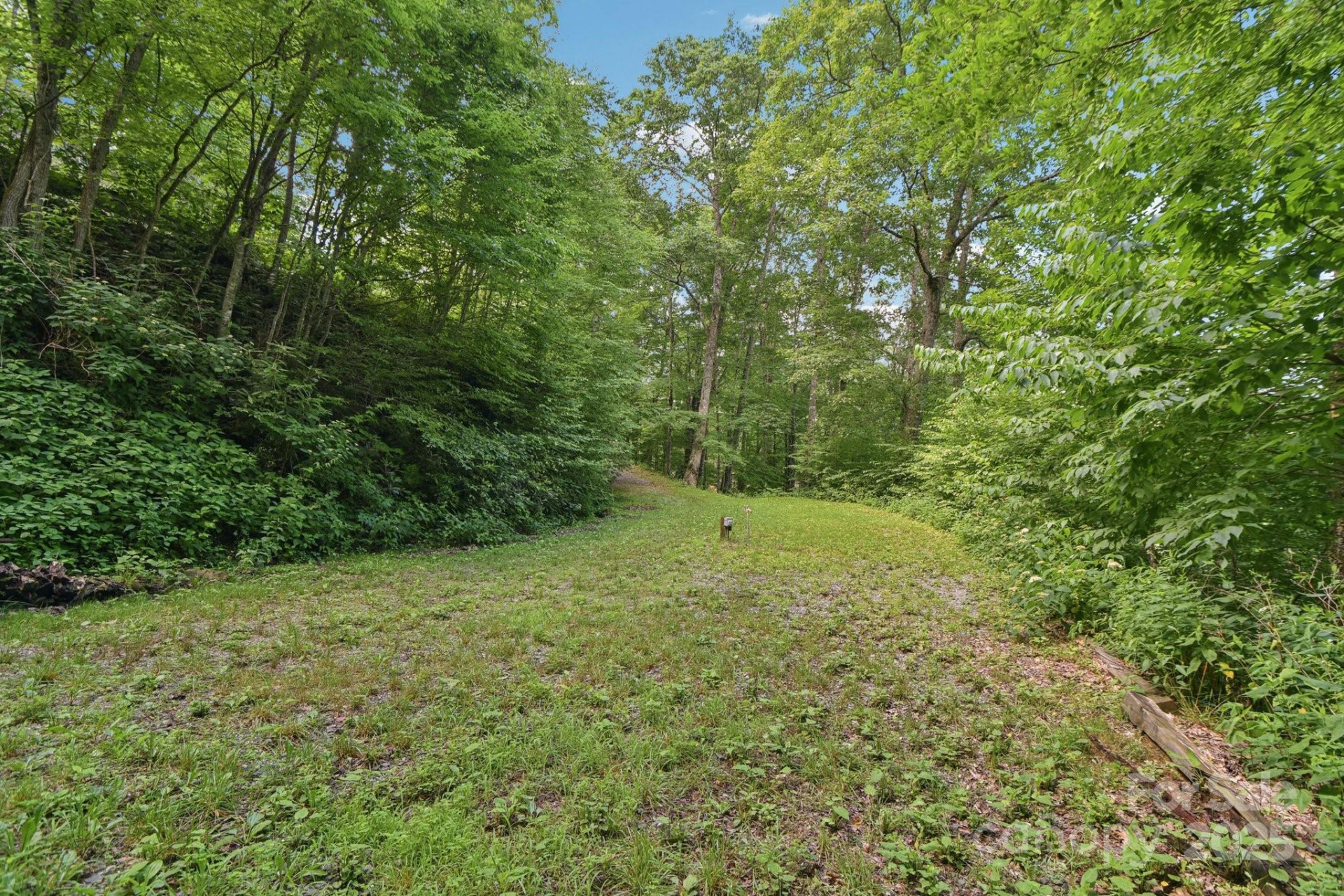 0000 Plott Balsam Road - Photo 4