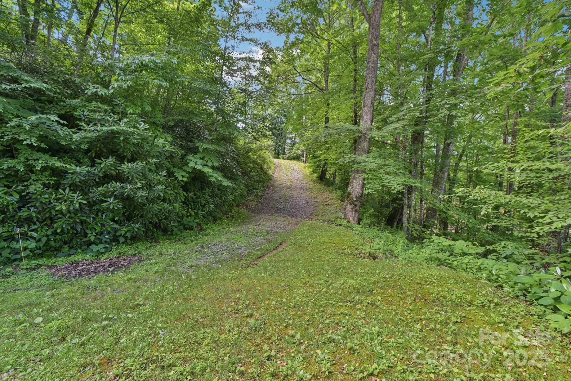 0000 Plott Balsam Road - Photo 5