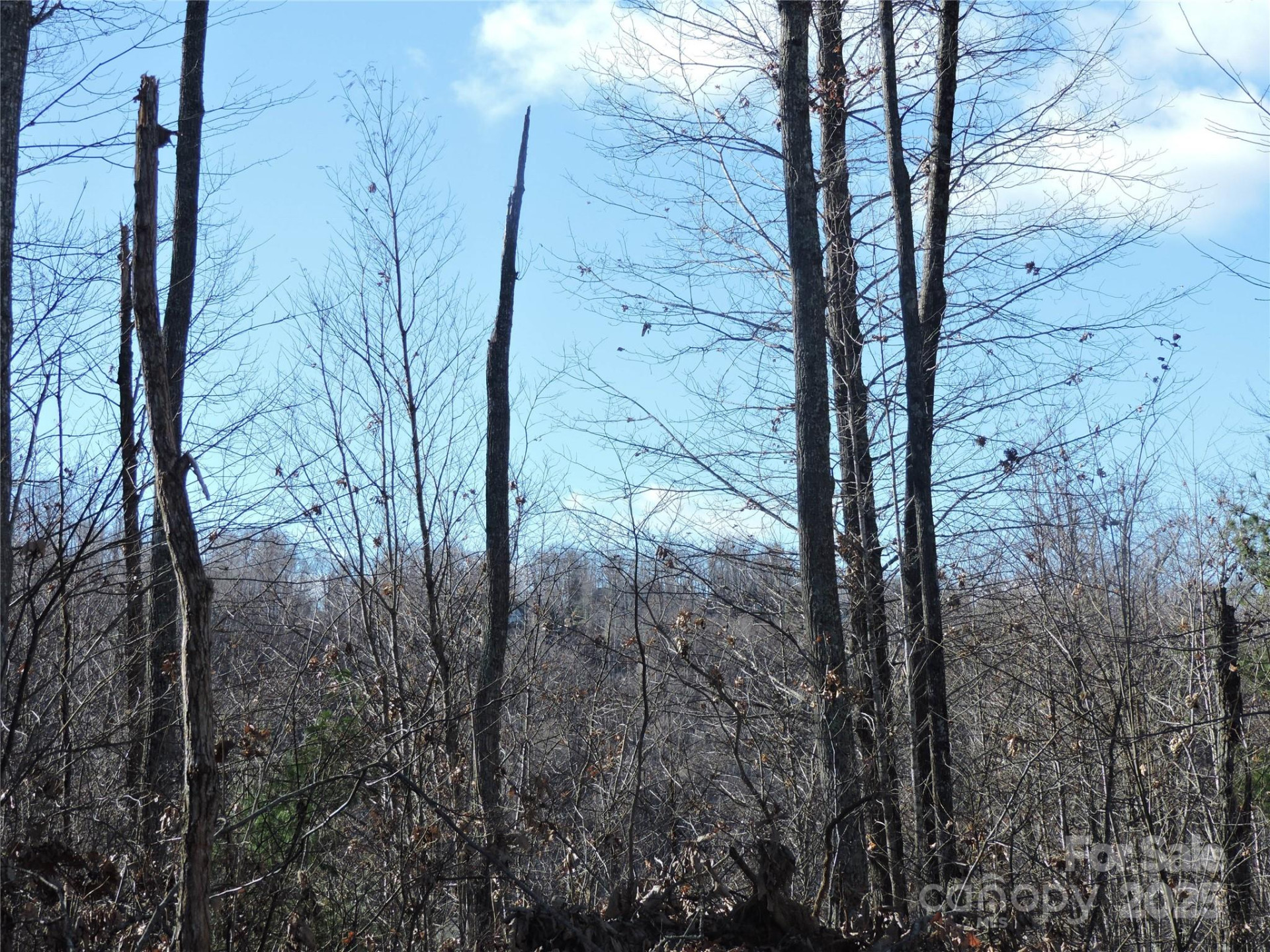 LOT15 Mountain Heritage Road - Photo 36