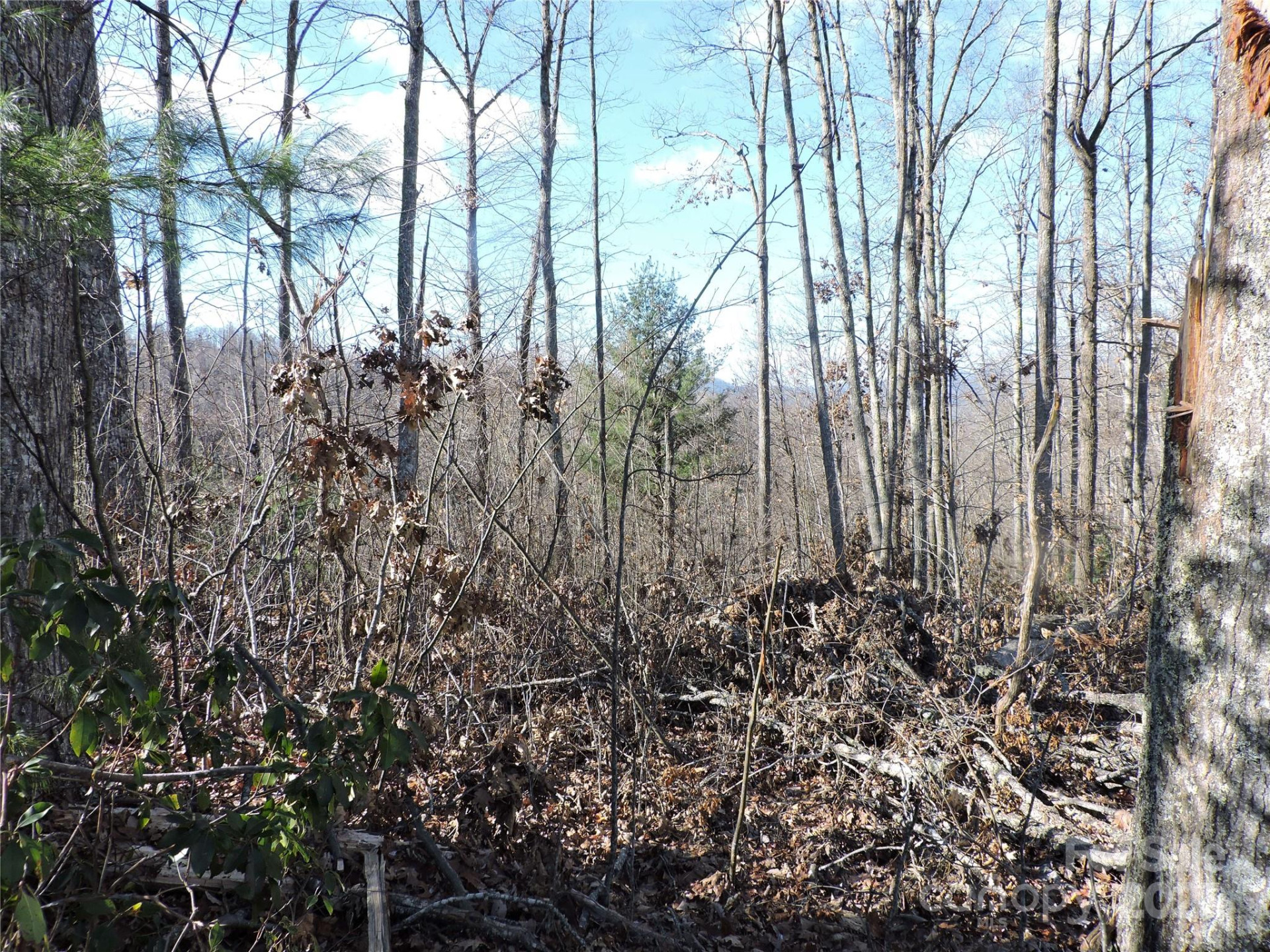 LOT15 Mountain Heritage Road - Photo 37