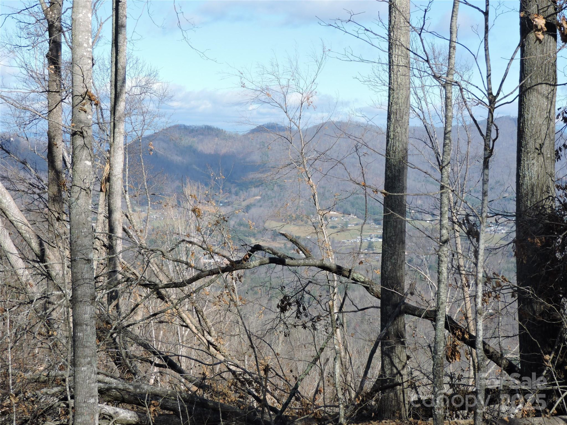 LOT15 Mountain Heritage Road - Photo 38