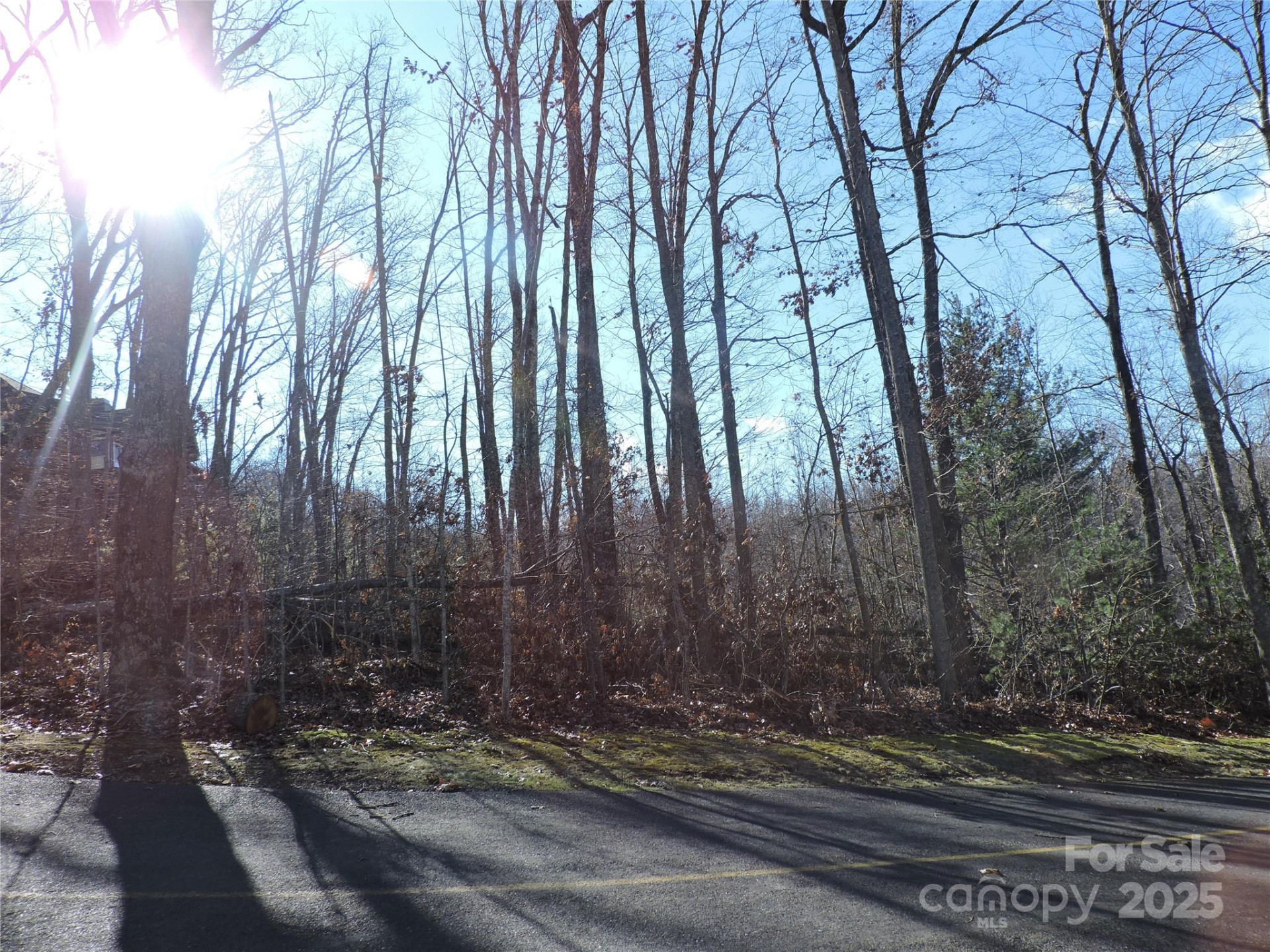 LOT15 Mountain Heritage Road - Photo 39