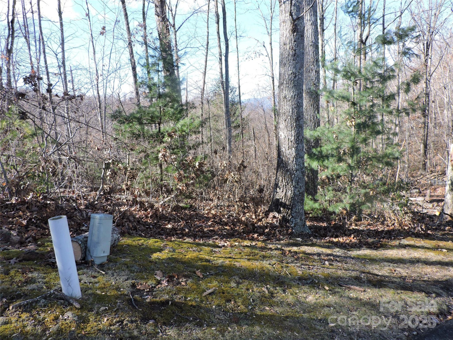 LOT15 Mountain Heritage Road - Photo 40