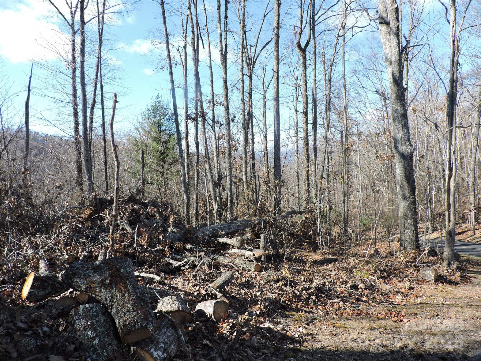 LOT15 Mountain Heritage Road - Photo 41