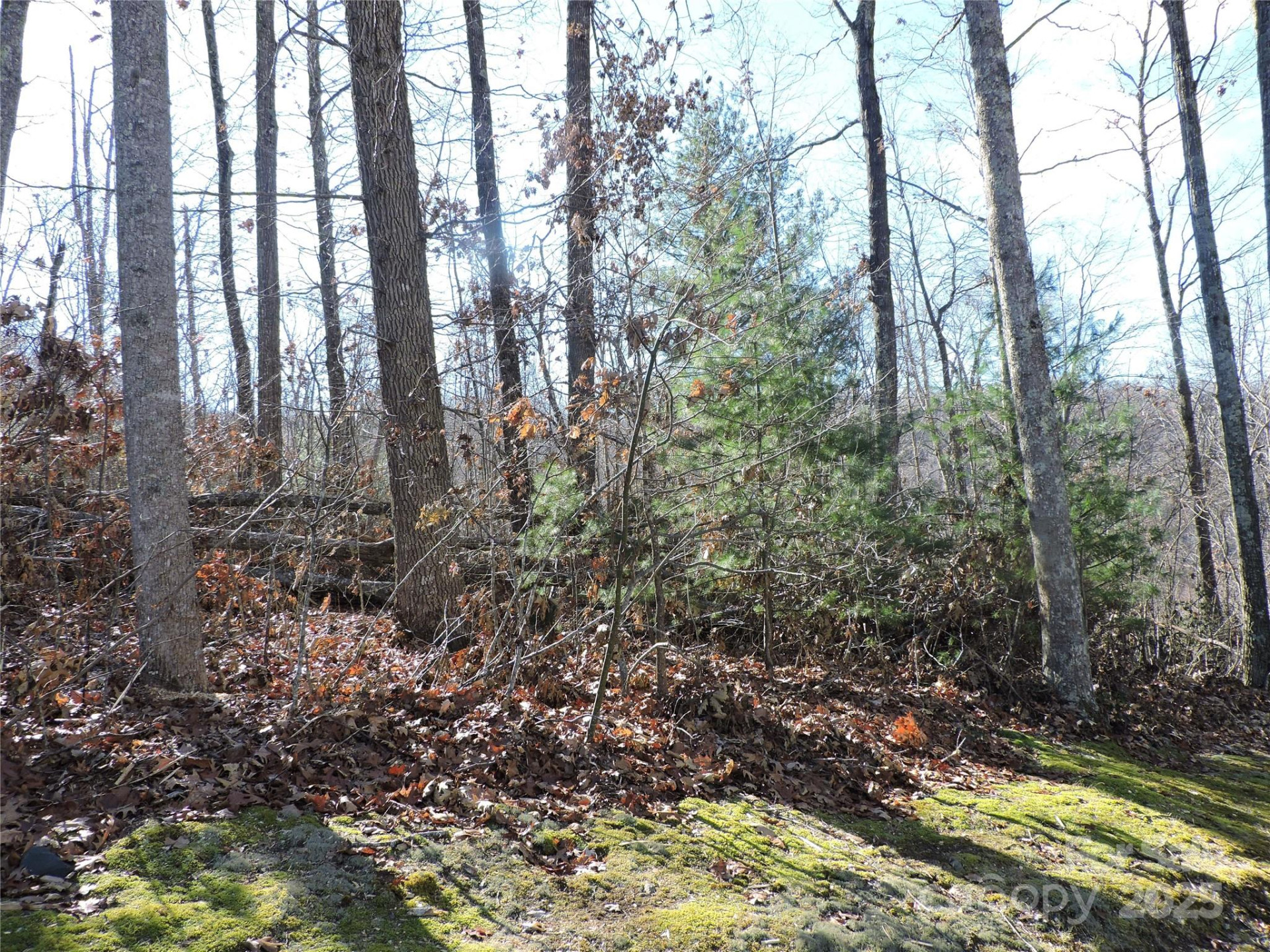 LOT15 Mountain Heritage Road - Photo 42