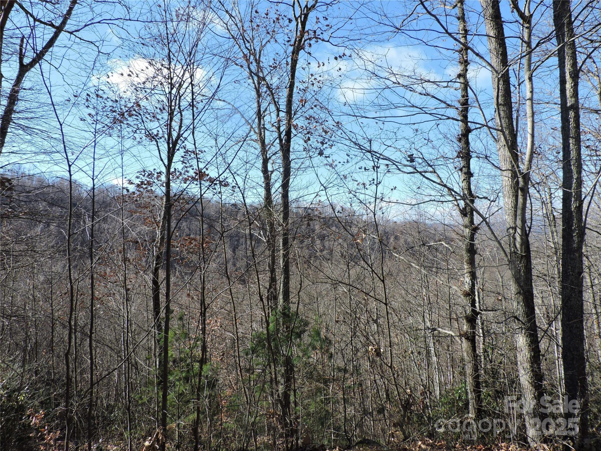 LOT15 Mountain Heritage Road - Photo 44