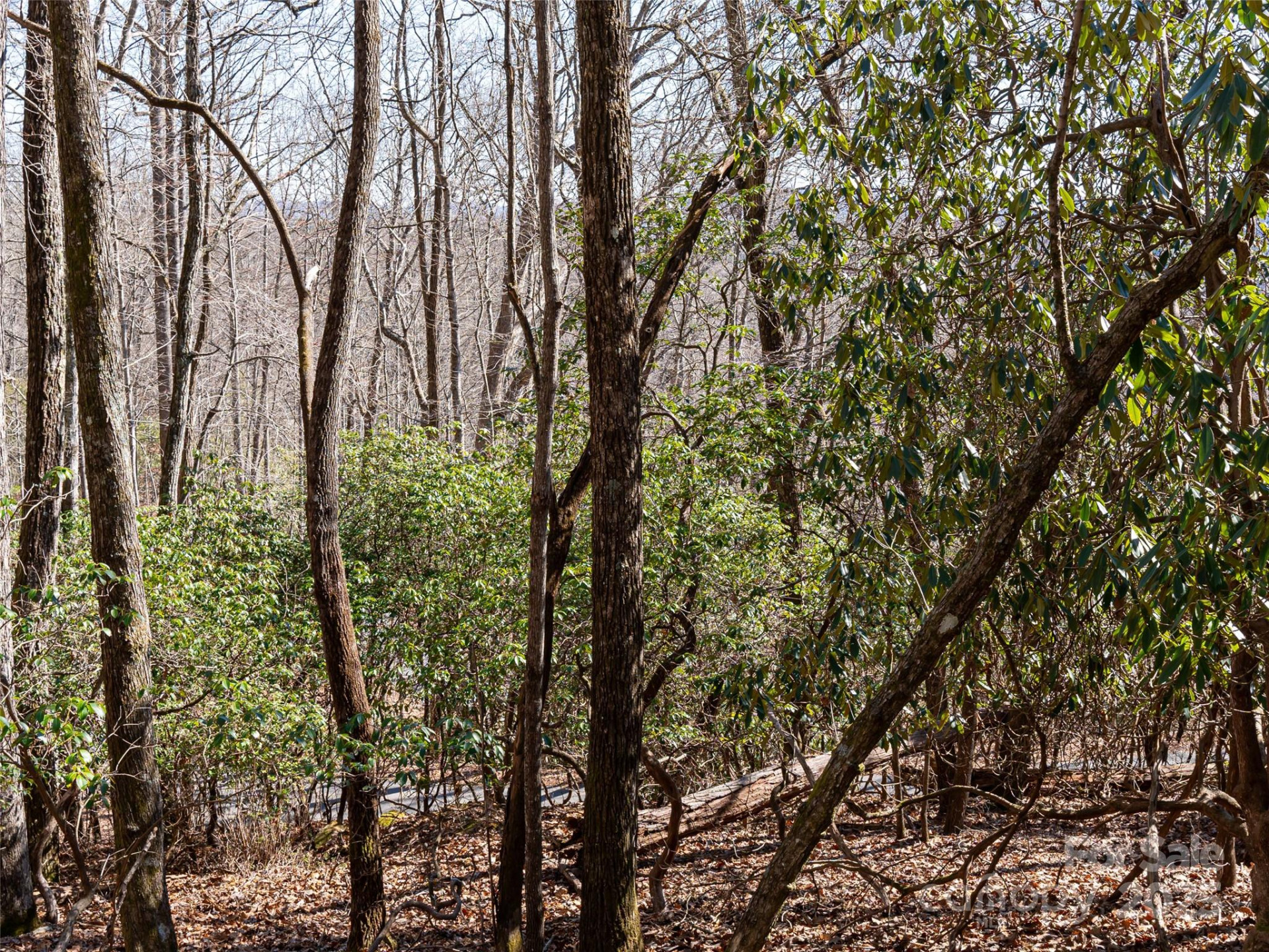 27 Alpen Rose Way - Photo 12