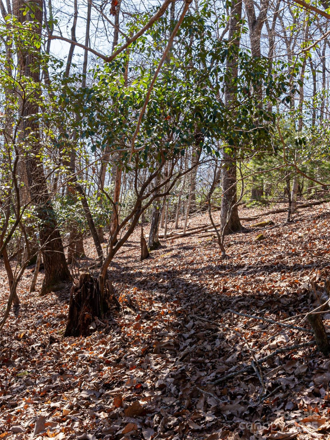 27 Alpen Rose Way - Photo 15