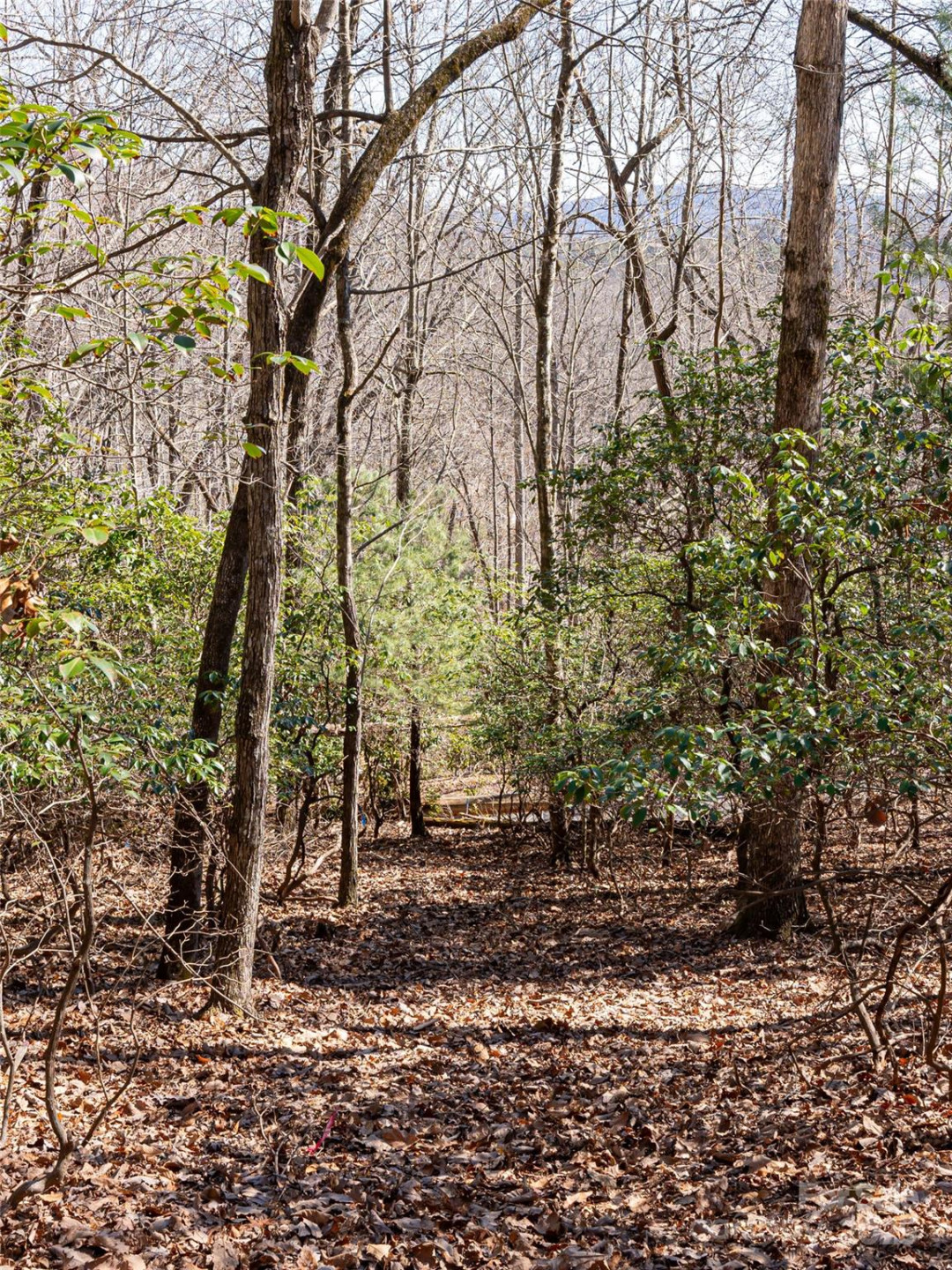 27 Alpen Rose Way - Photo 16