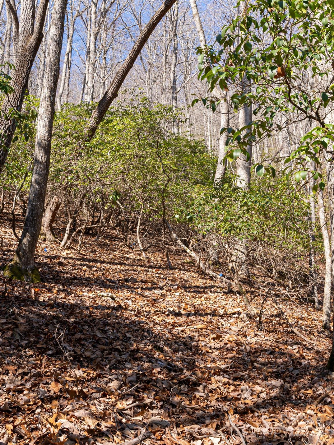 27 Alpen Rose Way - Photo 18