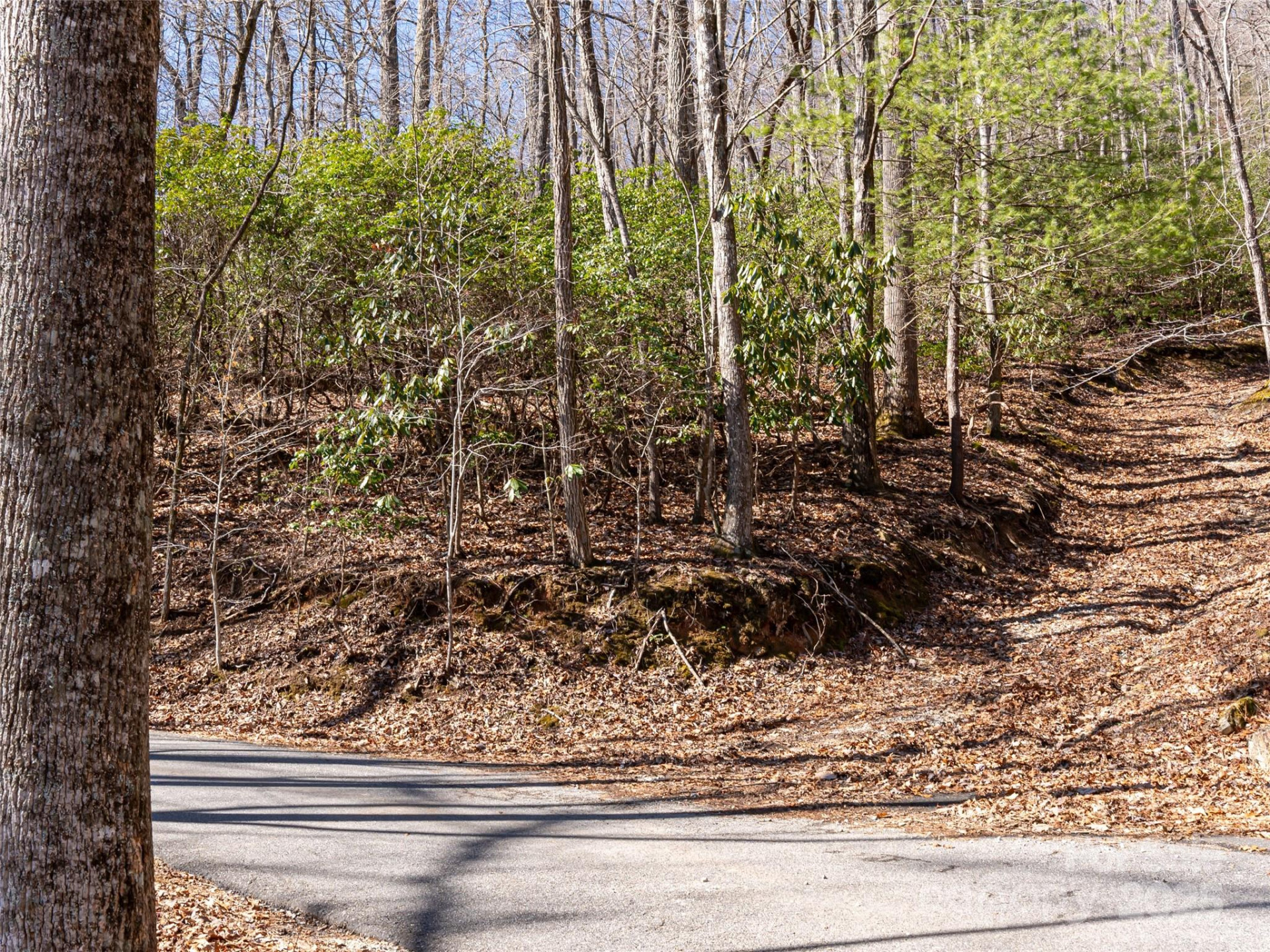 27 Alpen Rose Way - Photo 19