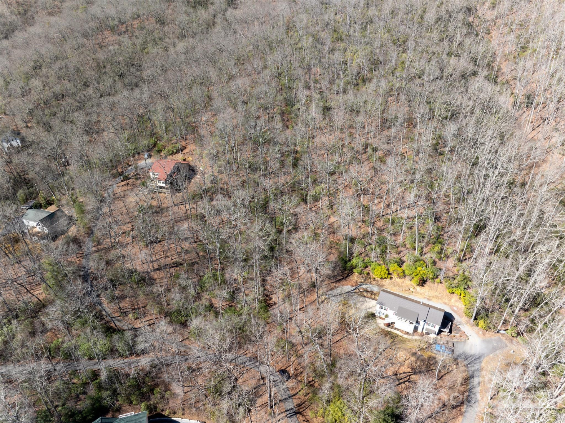 27 Alpen Rose Way - Photo 4