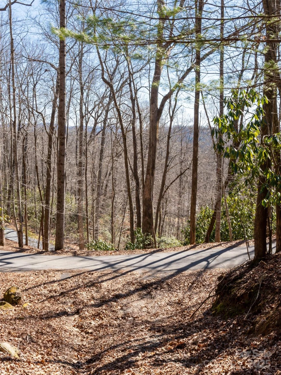 27 Alpen Rose Way - Photo 5