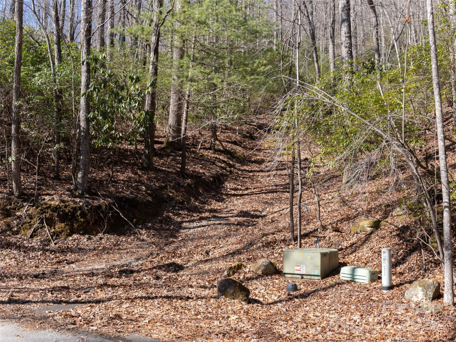 27 Alpen Rose Way - Photo 8