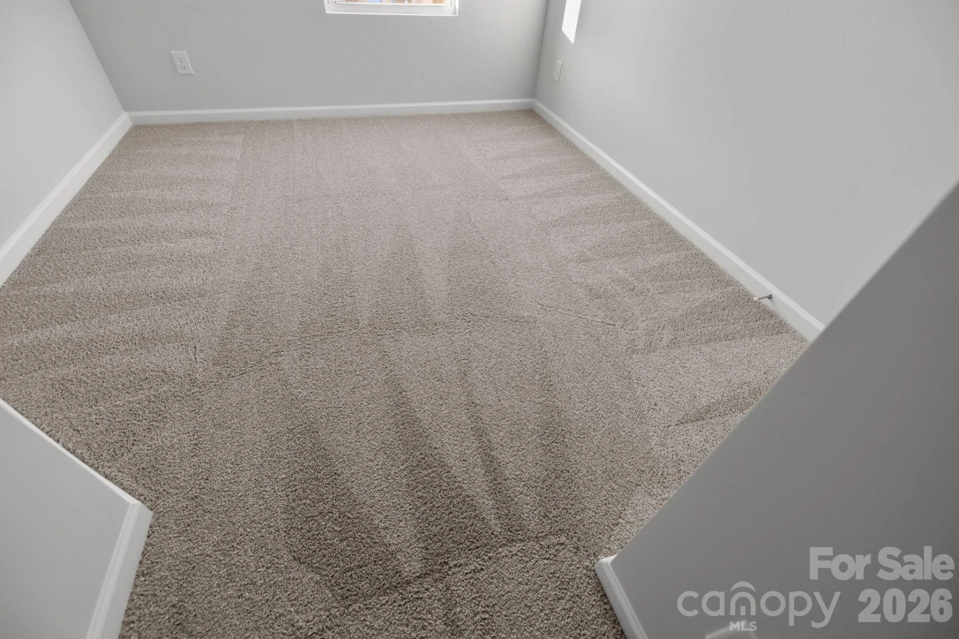 4552 Green Drake Drive - Photo 12
