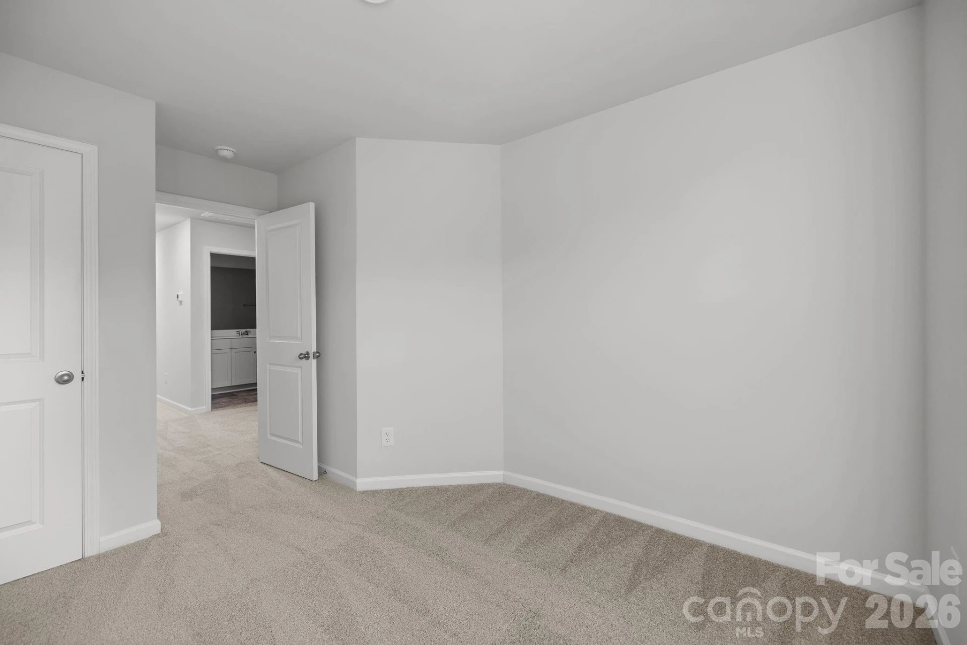 4552 Green Drake Drive - Photo 13