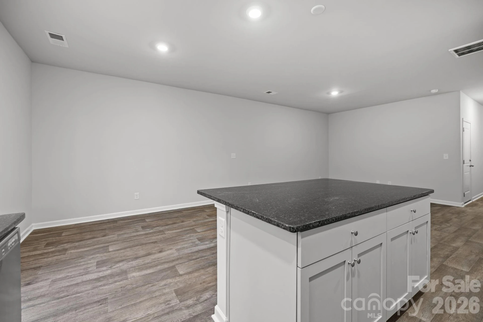 4552 Green Drake Drive - Photo 4
