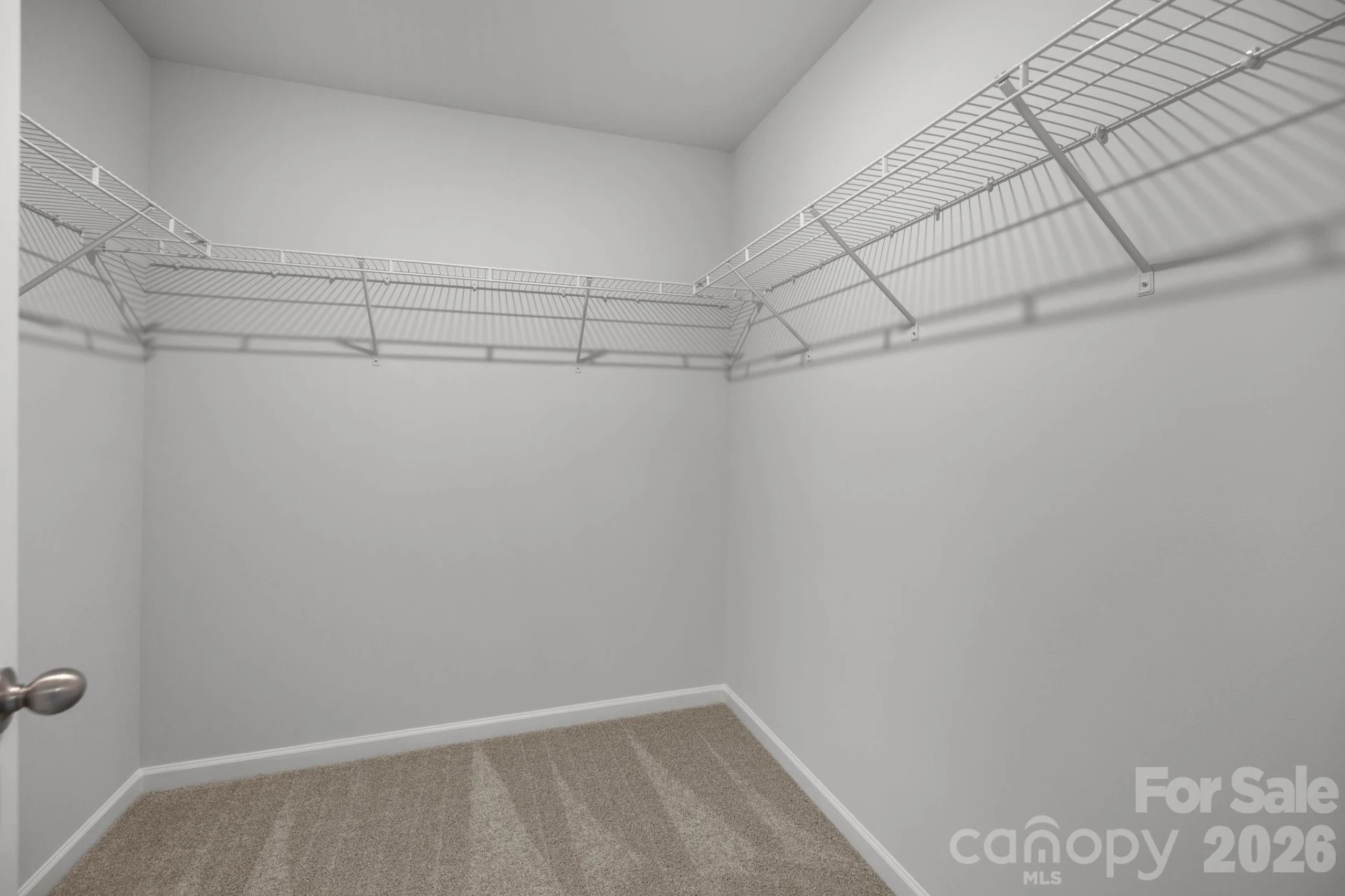 4552 Green Drake Drive - Photo 10