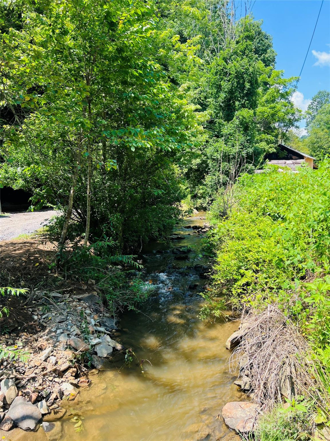 351 Swiss Loop - Photo 17