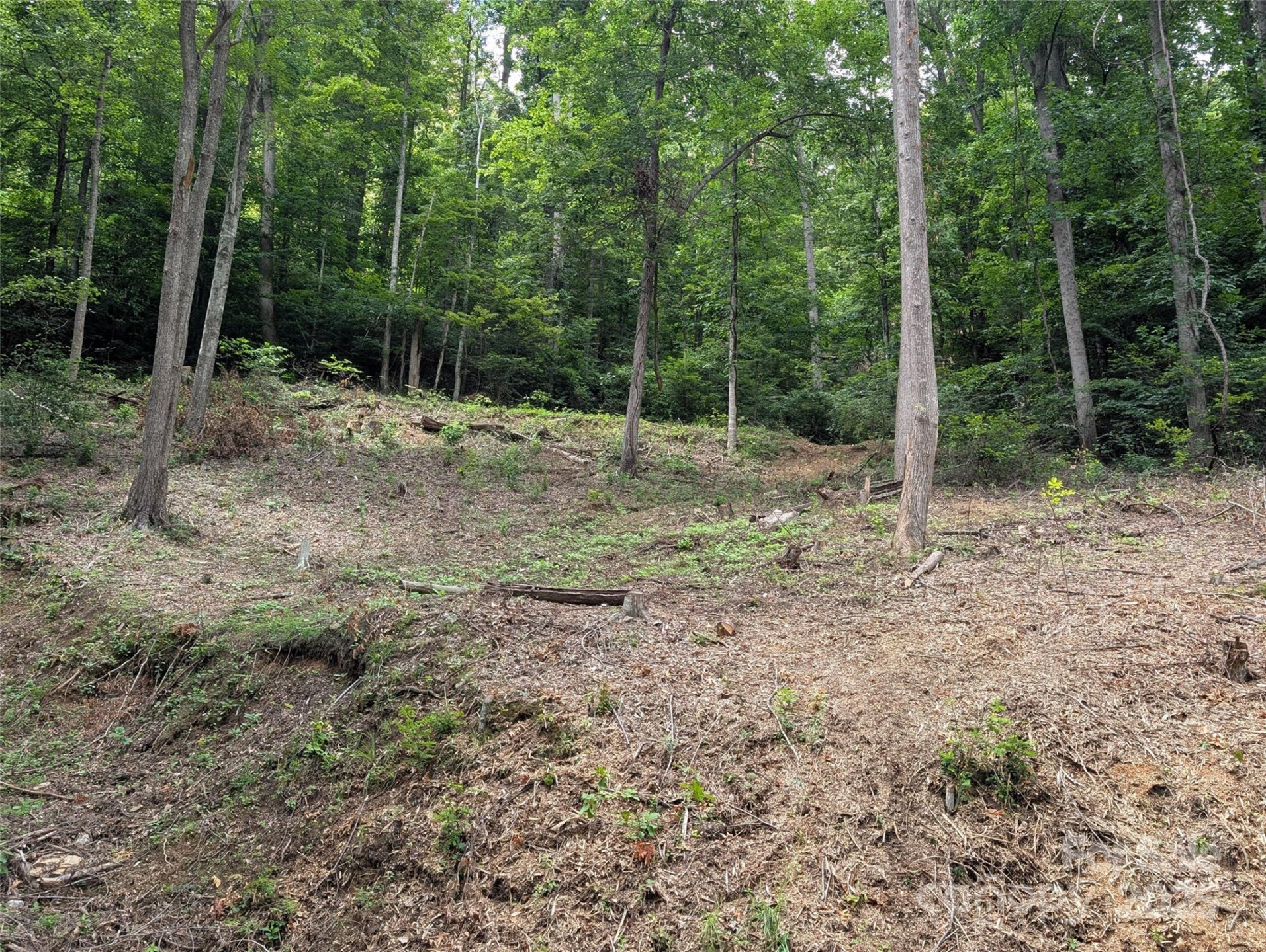 99999 Running Deer Lane #72 - Photo 2