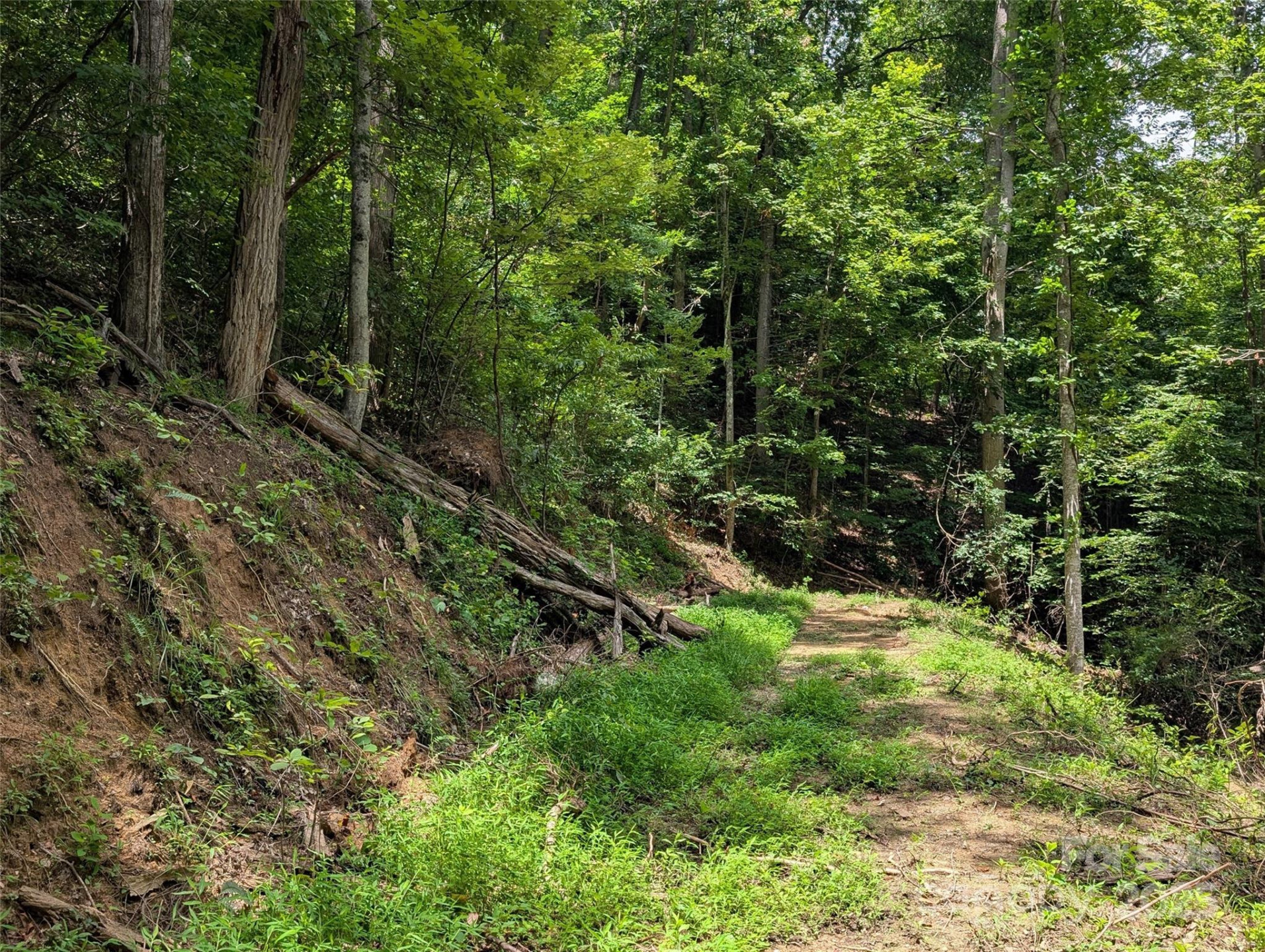 99999 Running Deer Lane #72 - Photo 4