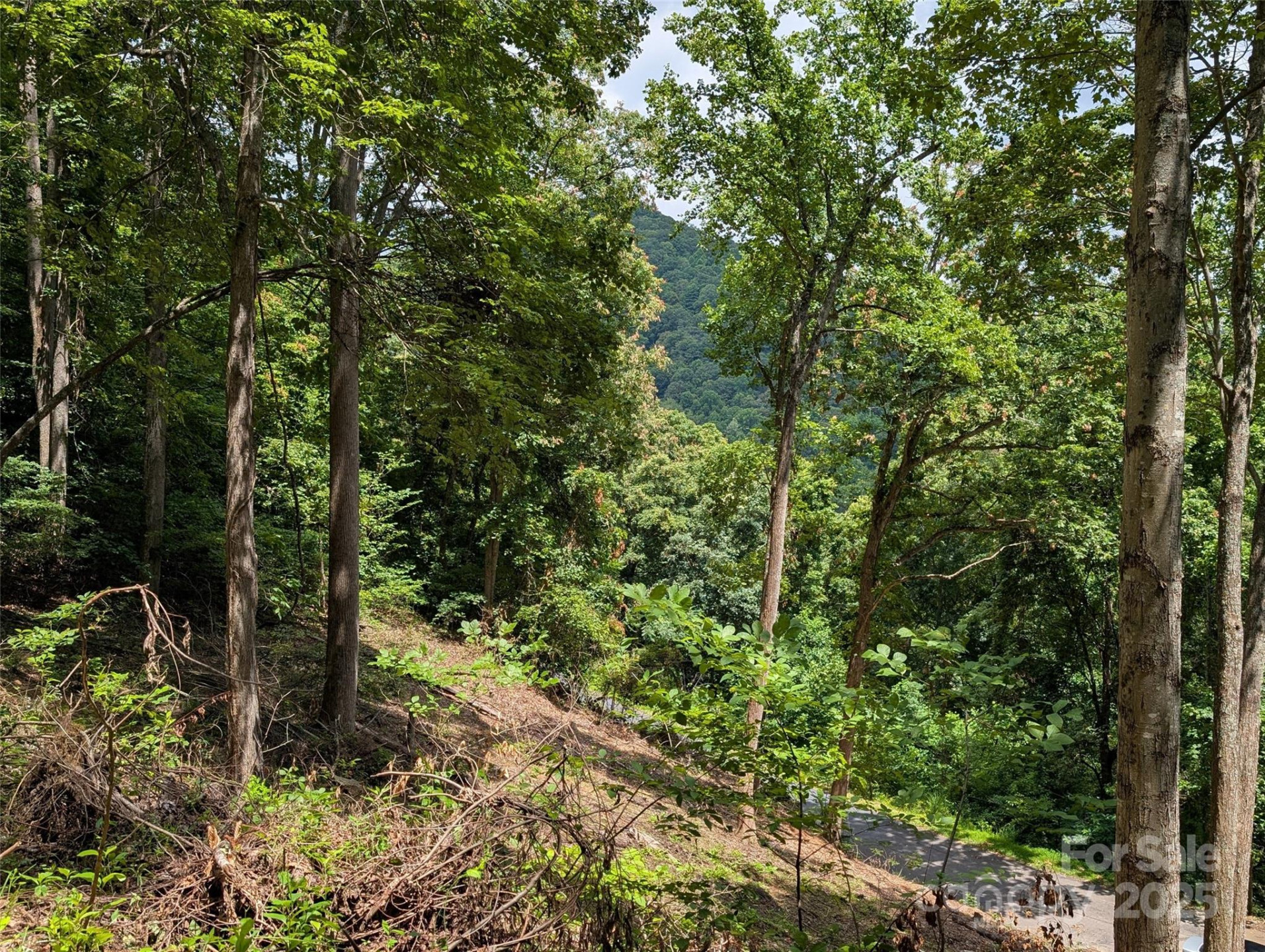 99999 Running Deer Lane #72 - Photo 5